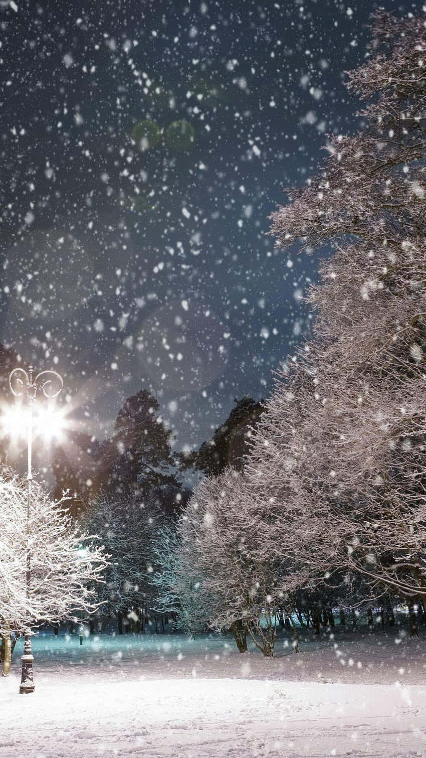 Snow Falling 桌布 壁紙 — 雪花在繁星點點的夜晚飄落，一盞發光的街燈照亮了寧靜冬季公園中結霜的樹木。