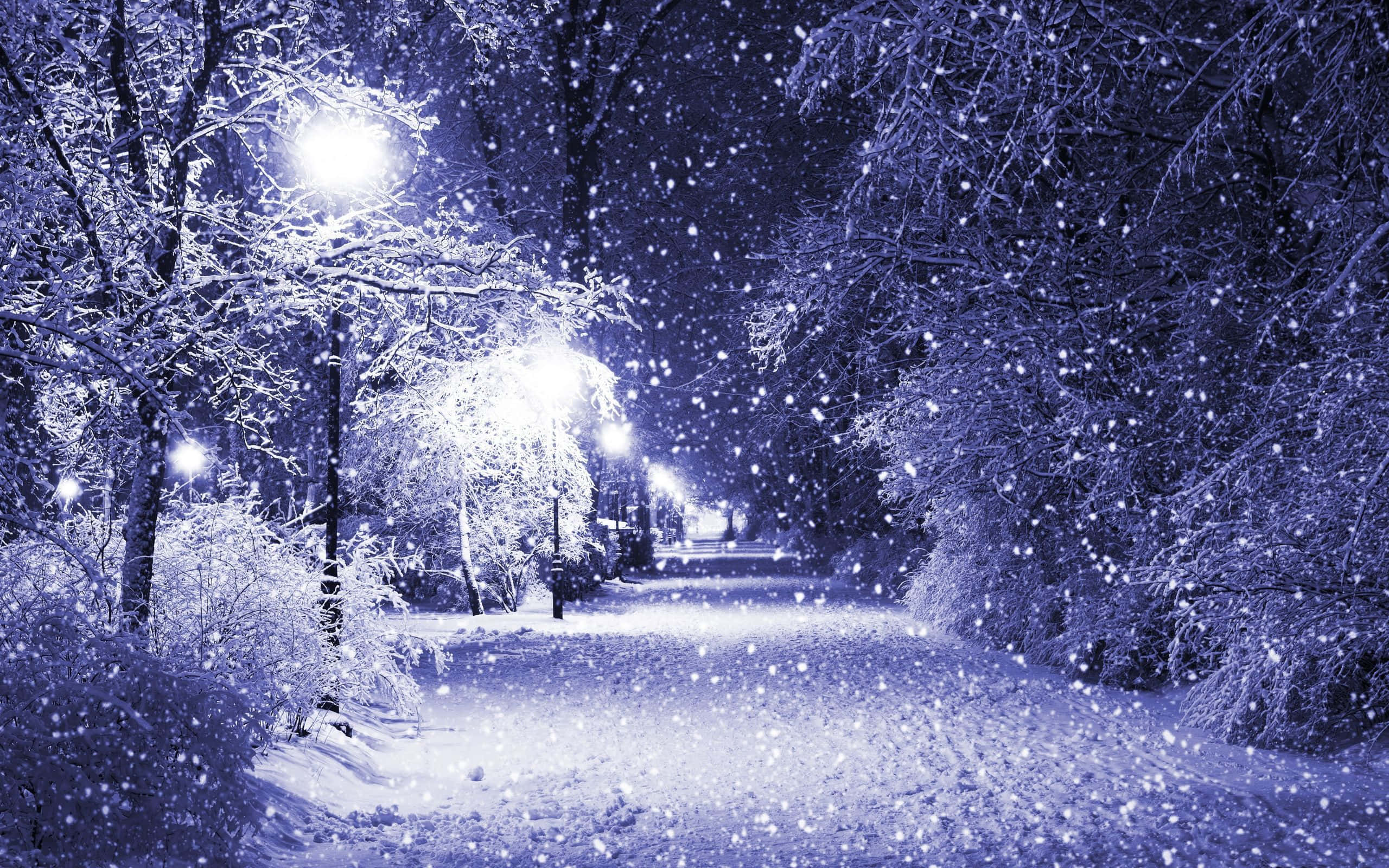 冬天 桌布 壁紙 — 雪花在街燈下閃爍，飄過夜晚結霜的冬季公園。