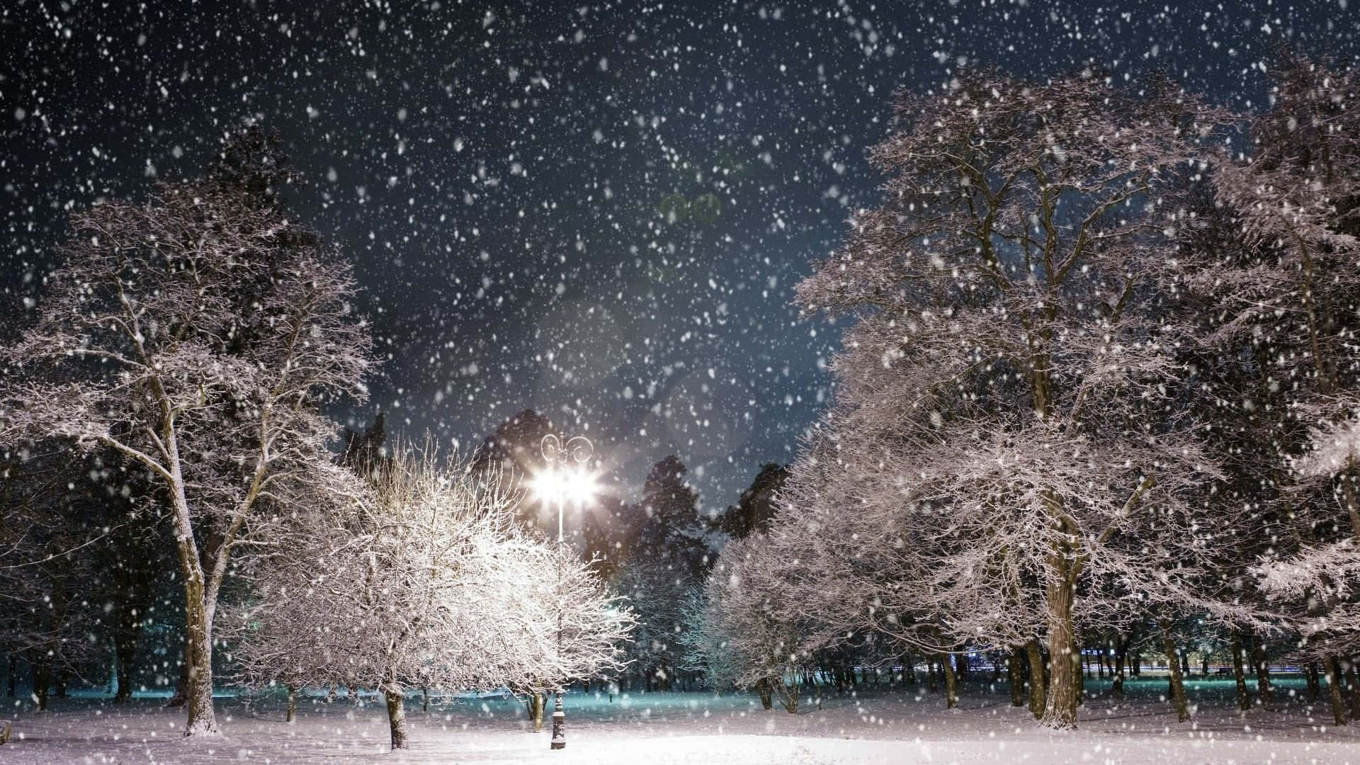 冬季桌面 桌布 壁紙 — 雪花在街燈的光芒下飄動，照亮了夜晚寧靜冬季公園中積雪的樹木。