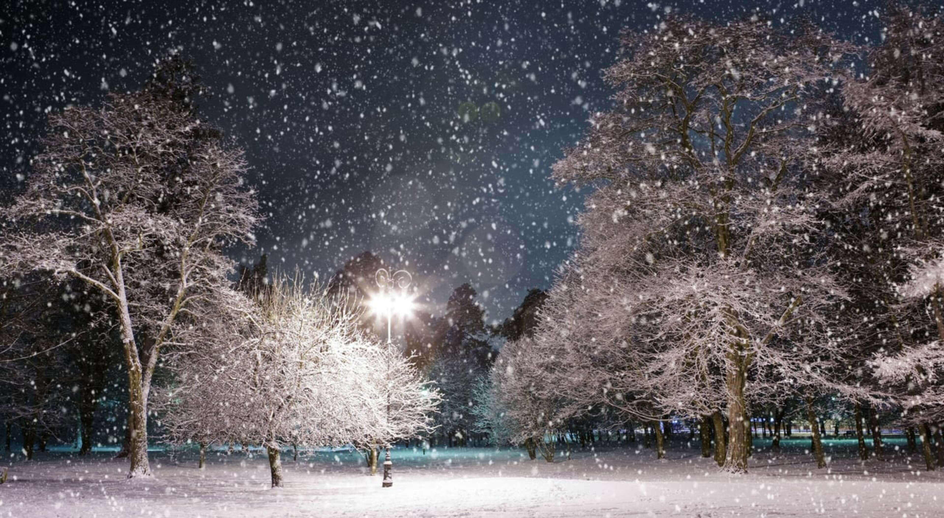 4K Winter 桌布 壁紙 — 雪花在街燈的光芒下飄動，照亮了寧靜冬夜公園中積雪的樹木。