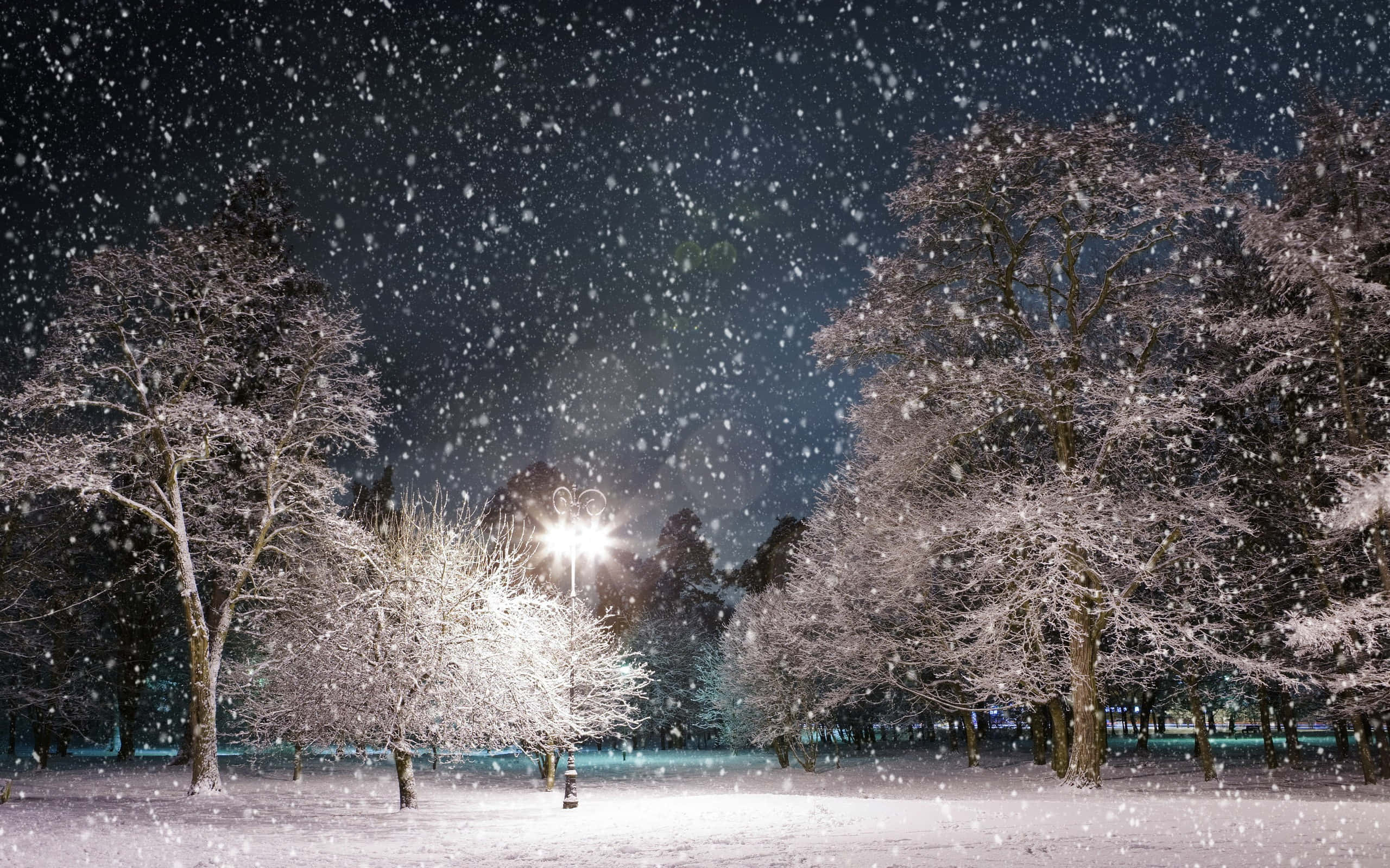 Snowfall 桌布 壁紙 — 雪花在街燈的光芒下飄動，照亮了寧靜冬夜公園中積雪的樹木。