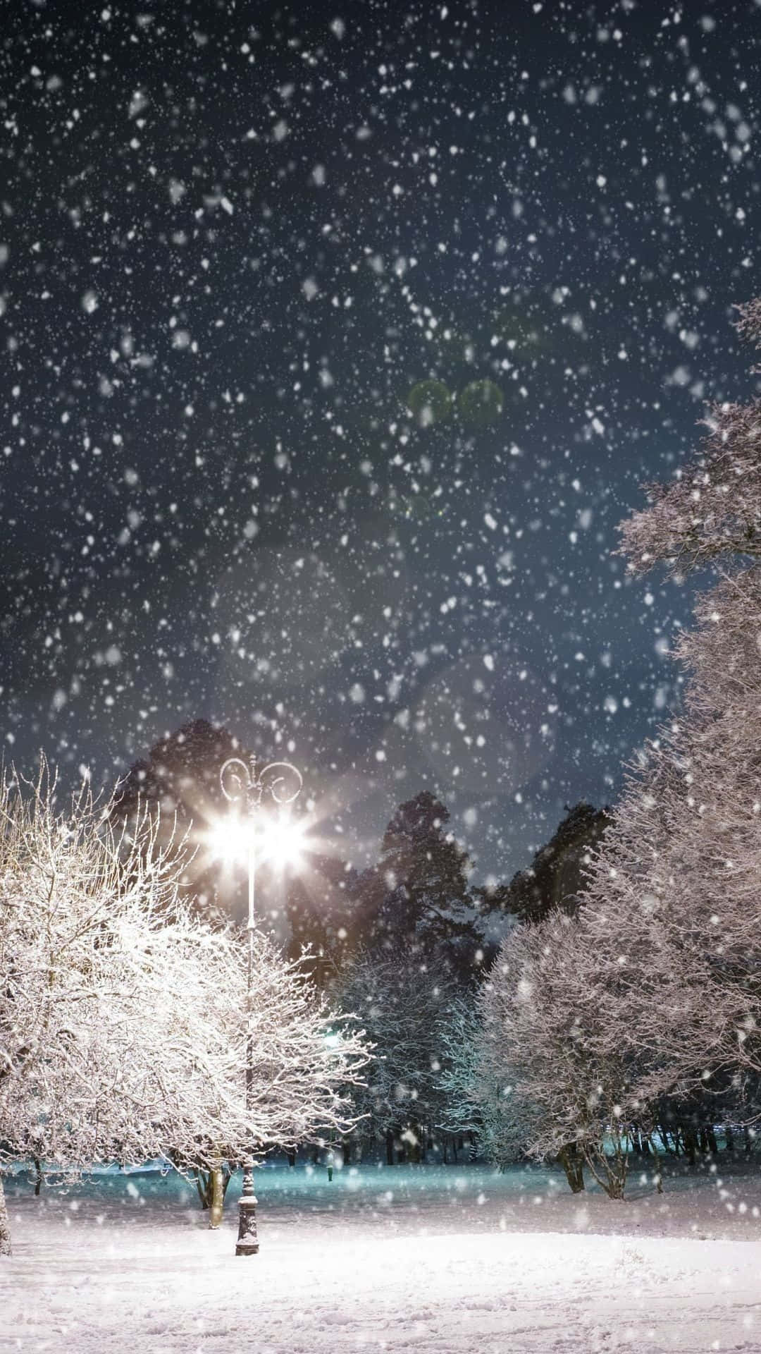 桌布 壁紙 — 雪花在街燈的光芒下飄動，照亮了被雪覆蓋的樹木，構成一個寧靜的冬夜場景。