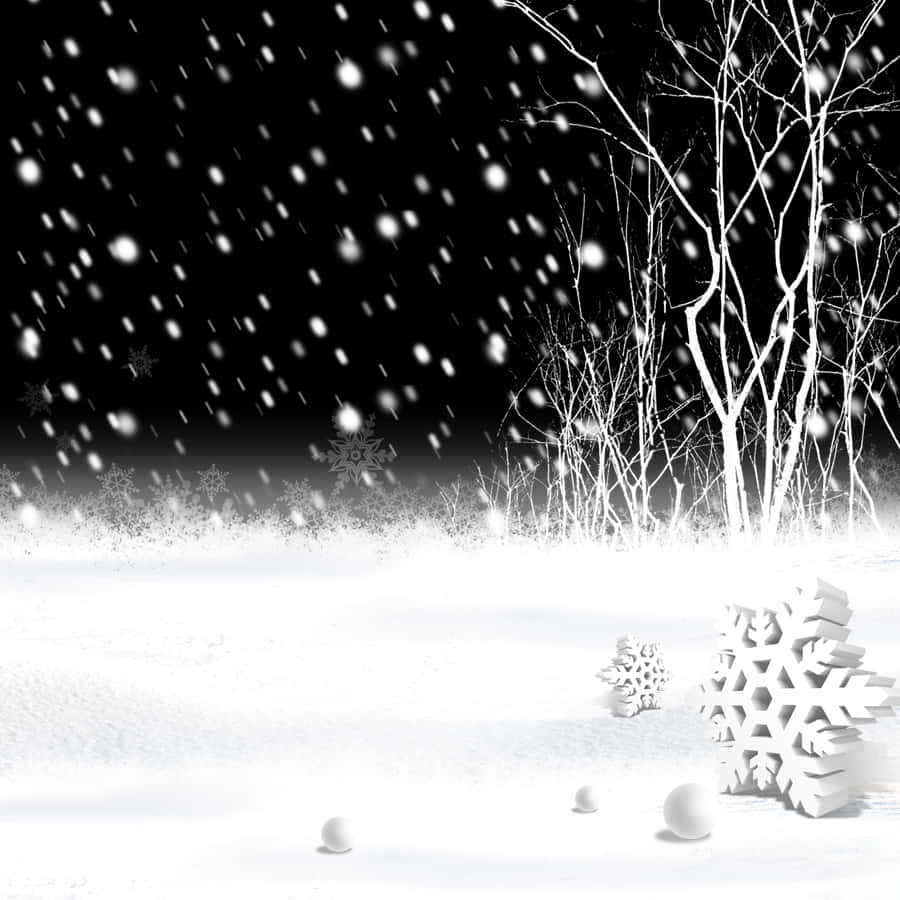 White Snow 桌布 壁紙 — 雪花在黑色天空中飄動，飄過一片有裸樹和裝飾性雪花的雪地。