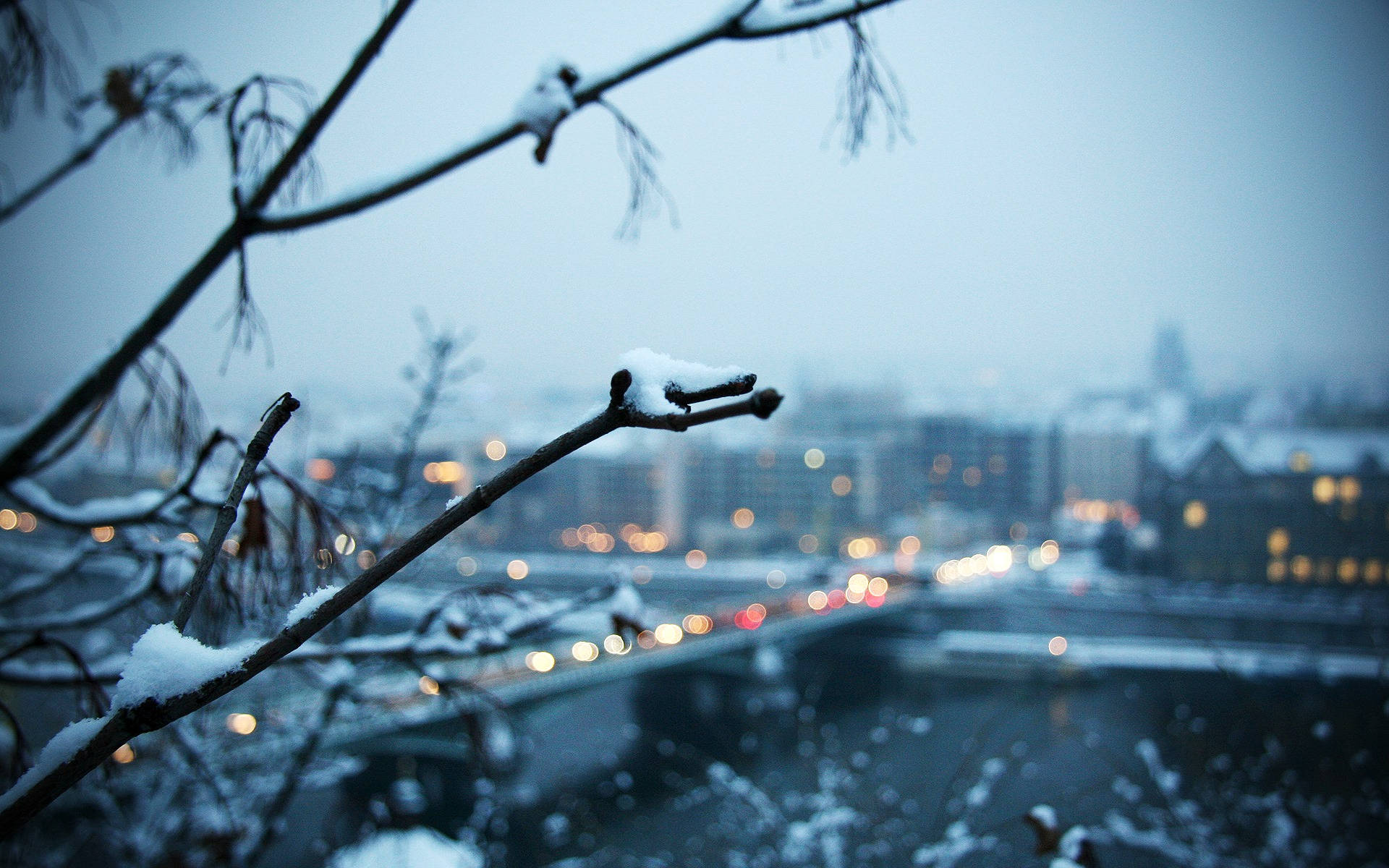 Dslr 桌布 壁紙 — 雪花灑在前景光禿的樹枝上，模糊的城市燈光在冬日暮色中柔和地閃爍。