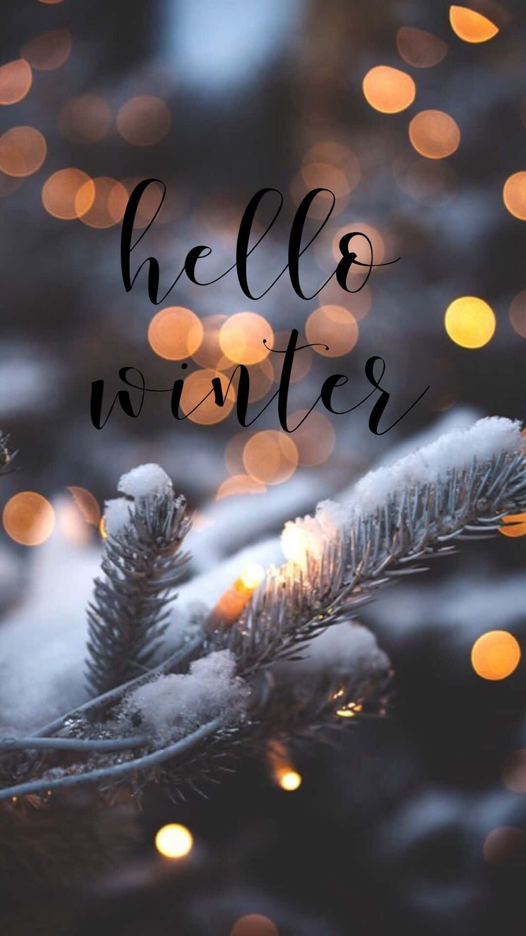 桌布 壁紙 — 雪花灑在松樹枝上，背景是溫暖發光的散景效果，並有優雅的手寫文字寫著「你好冬天」。