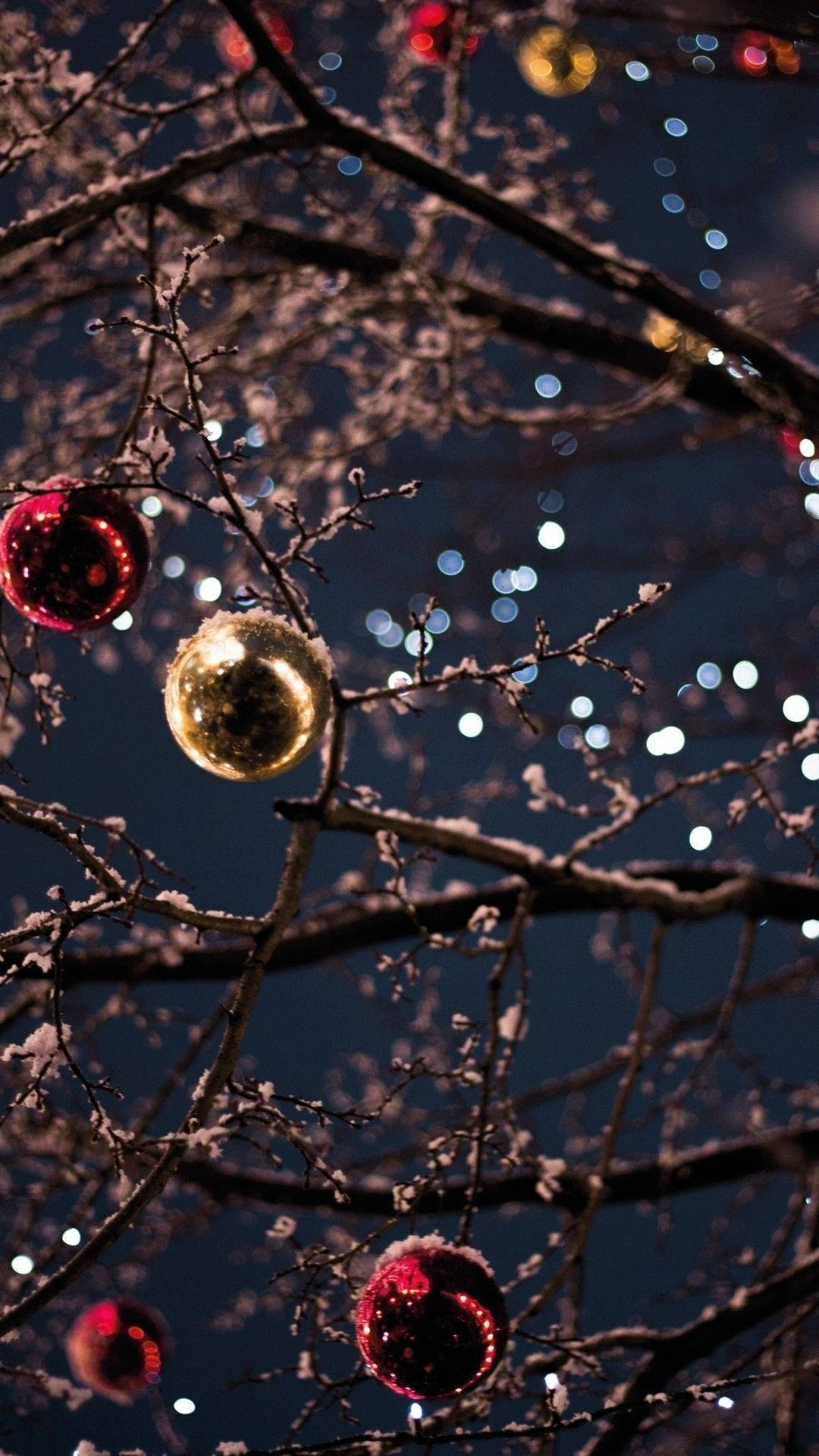 Christmas Lights Aesthetic 桌布 壁紙 — 雪花覆蓋的樹枝上掛著紅色和金色的裝飾品，背景是閃爍的夜燈。