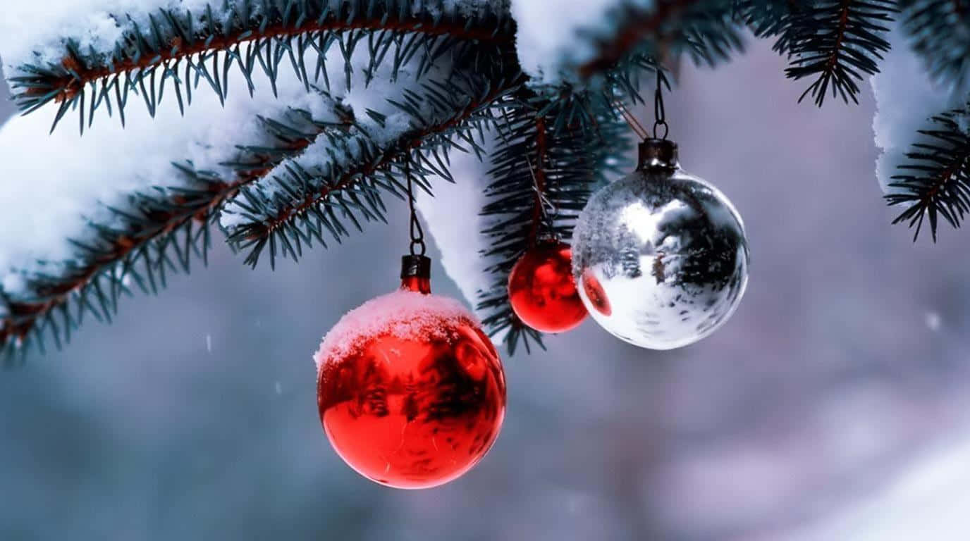 被雪覆蓋的松樹枝上掛著紅色和銀色的聖誕裝飾。 — 雪 壁紙