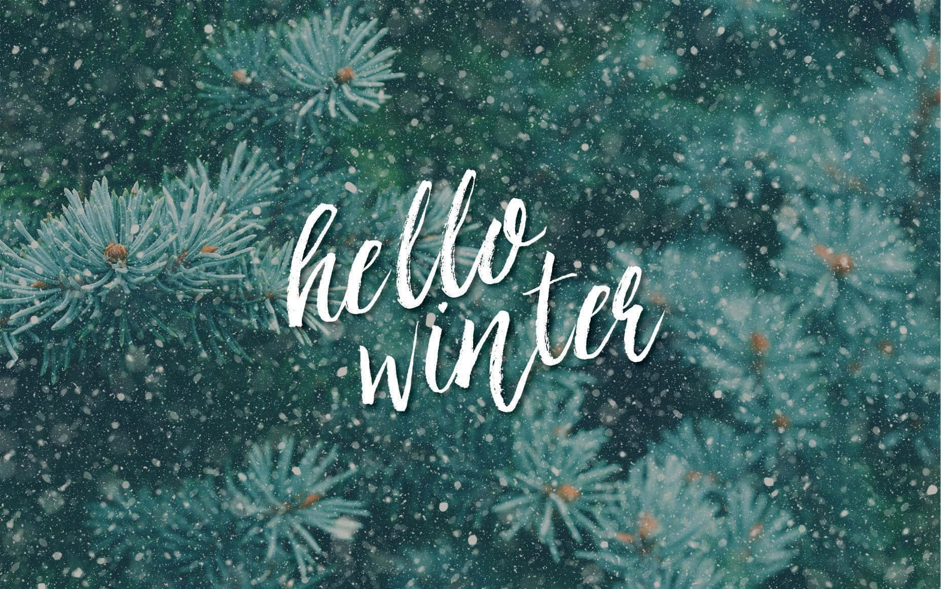 一月 桌布 壁紙 — 雪花輕輕落在結霜的常綠樹枝上，優雅的白色草書文字寫著你好冬天。