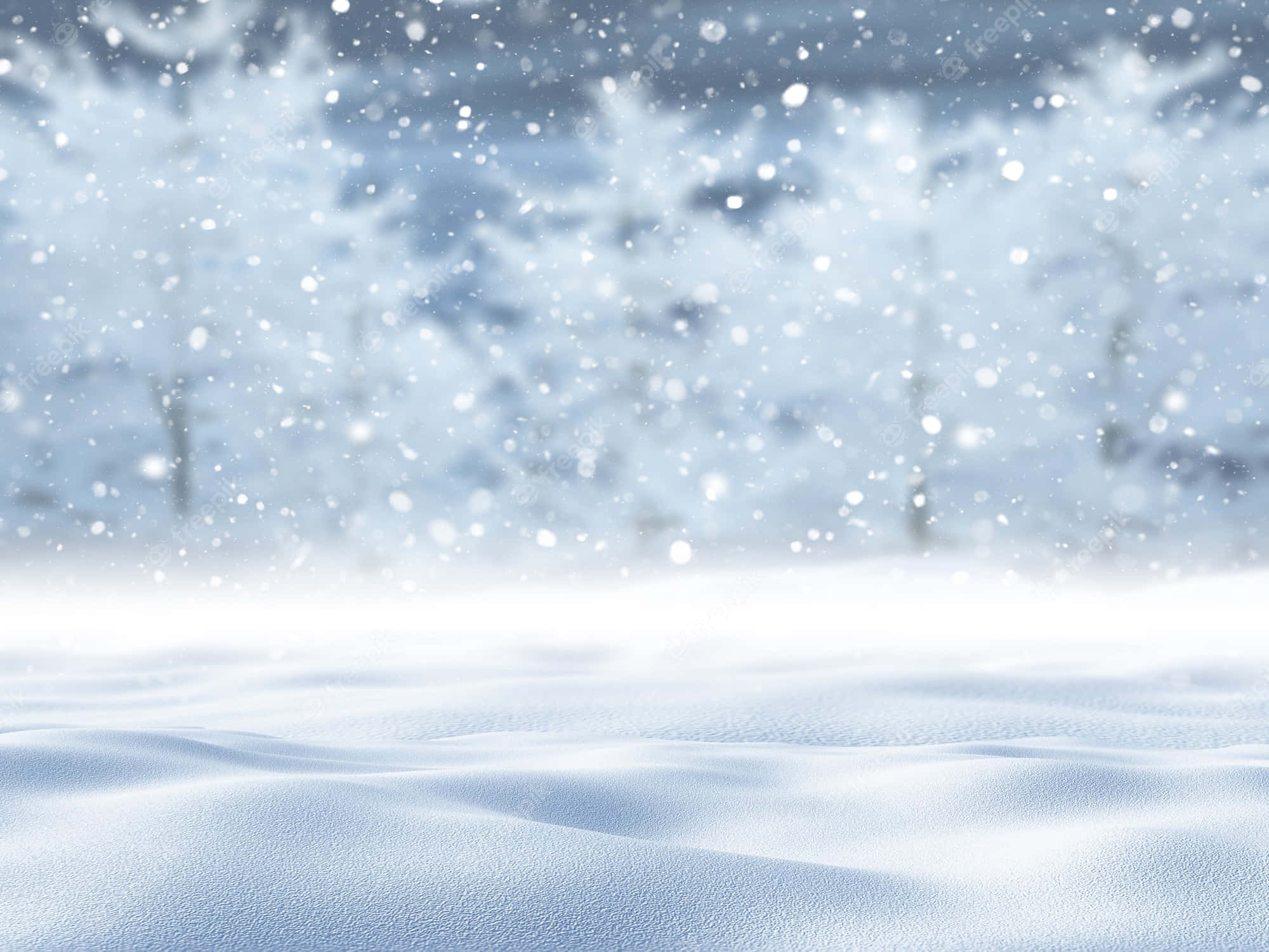 Snowing 桌布 壁紙 — 雪花輕輕飄落在柔軟的新雪上，背景是模糊的冬日樹木。
