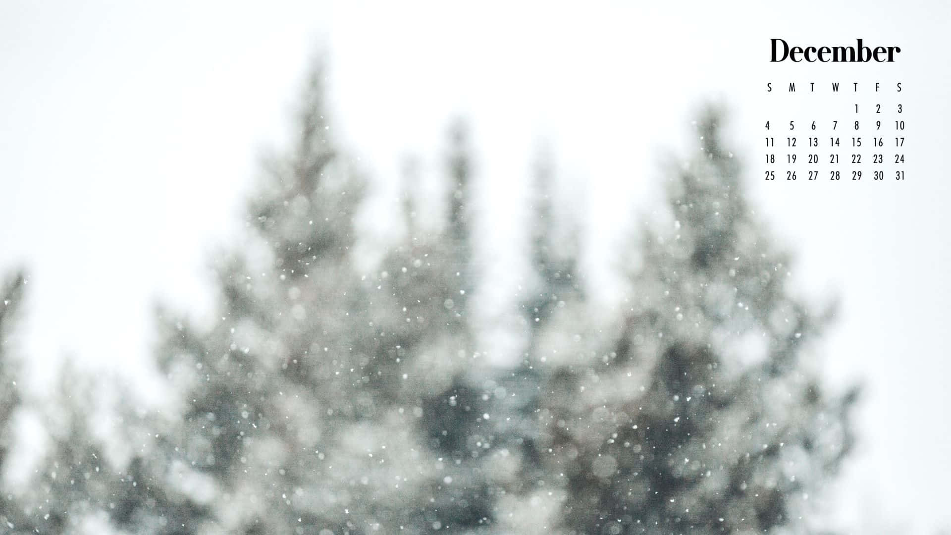 Cute December 桌布 壁紙 — 雪花輕輕飄落在模糊的常綠森林背景上，並帶有十二月日曆疊加層。