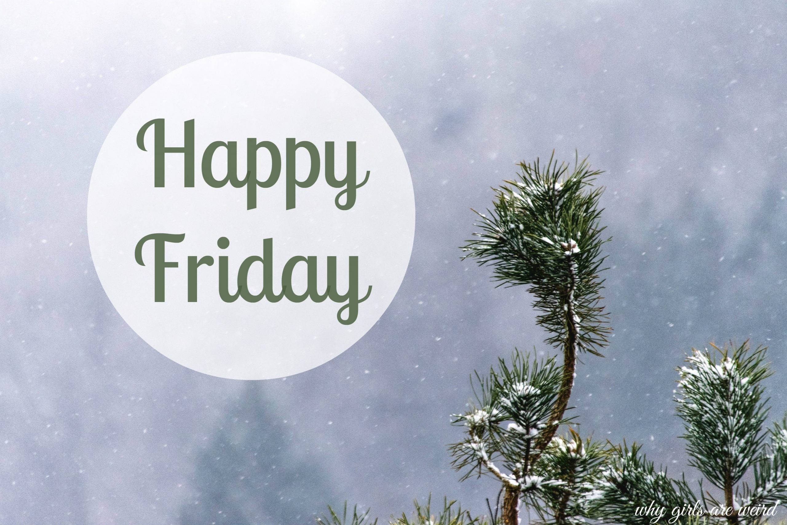 Friday 桌布 壁紙 — 雪花輕輕飄落在灑滿雪的松樹枝周圍，下方有一個「Happy Friday」文字圓圈。
