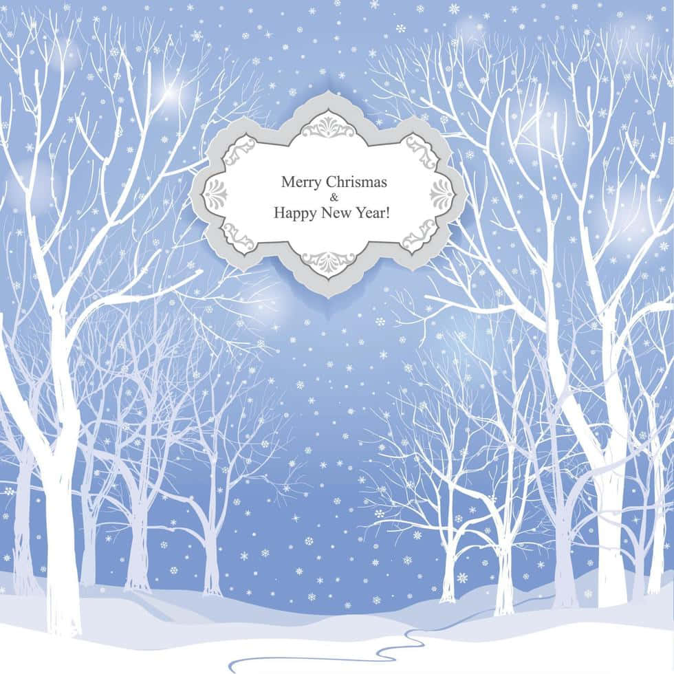 Christmas Winter Wonderland 桌布 壁紙 — 雪花飄過一個寧靜的冬季森林，樹木光禿，上方漂浮著一張節日問候卡。