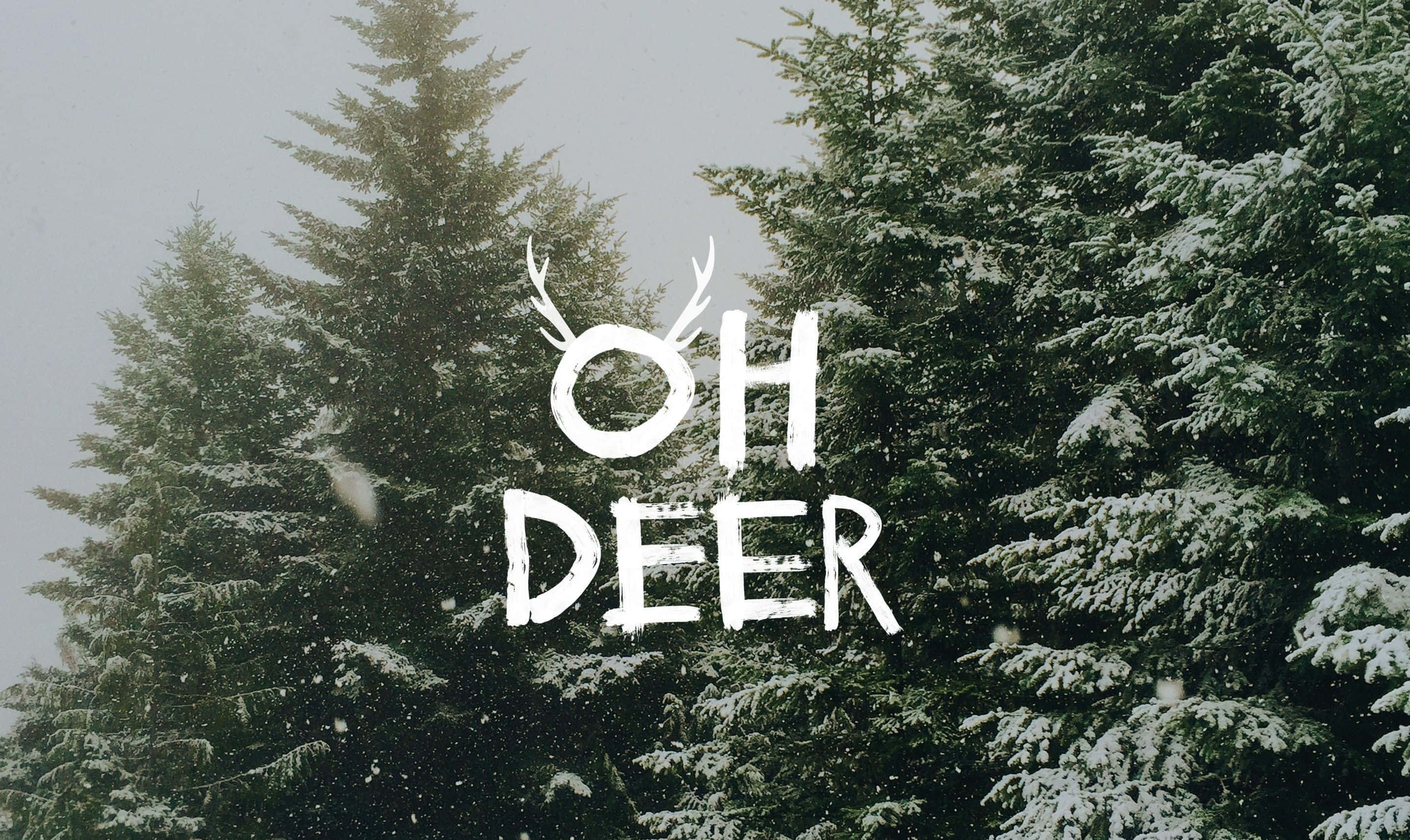 Cute Winter Aesthetic 桌布 壁紙 — 雪花飄過茂密的常綠森林，粗體白色文字「OH DEER」配上鹿角裝飾覆蓋場景。