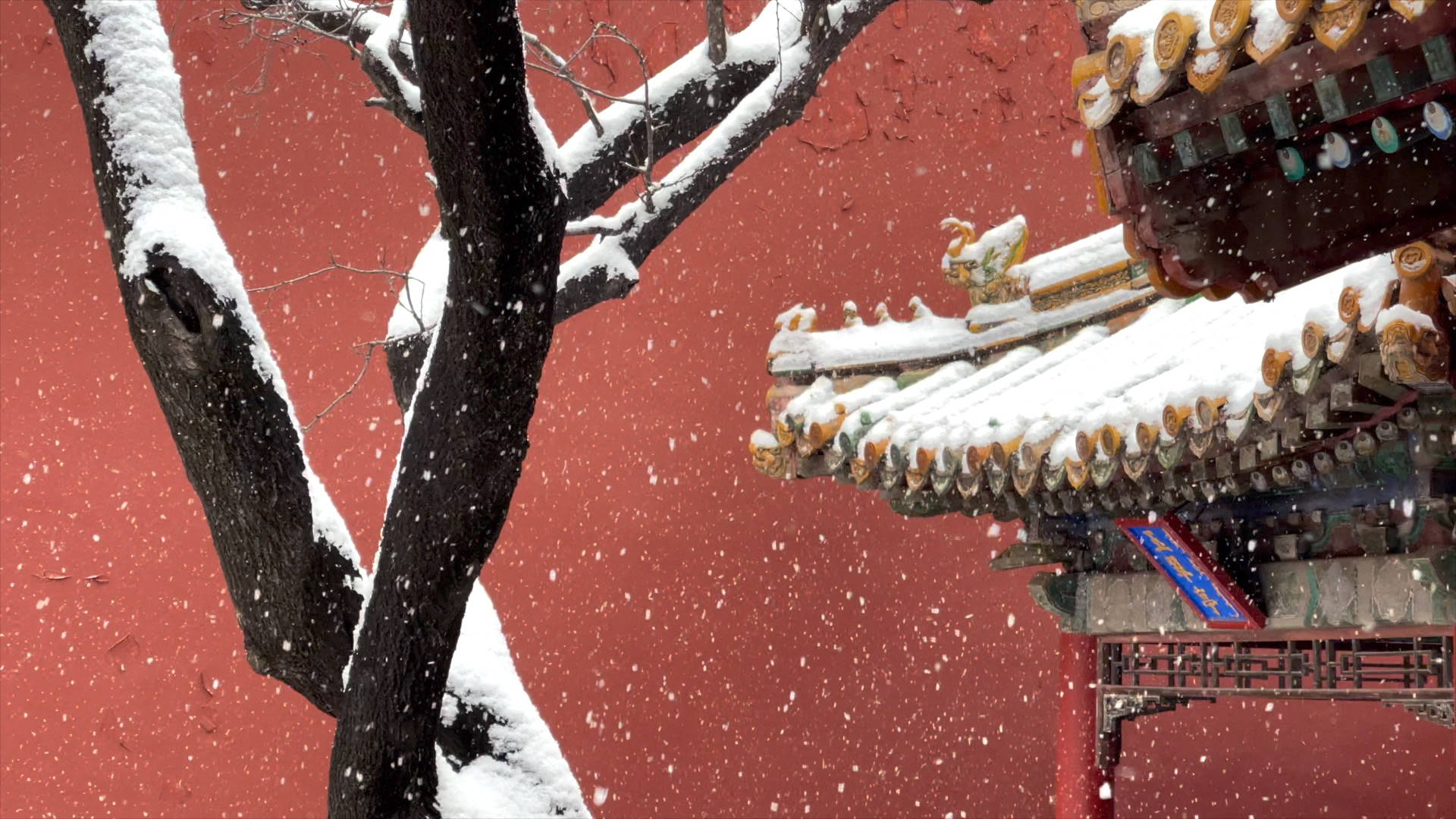 雪 桌布 壁紙 — 雪花飄過被雪覆蓋的樹木，映襯著傳統瓦頂旁邊的鮮紅色牆壁。