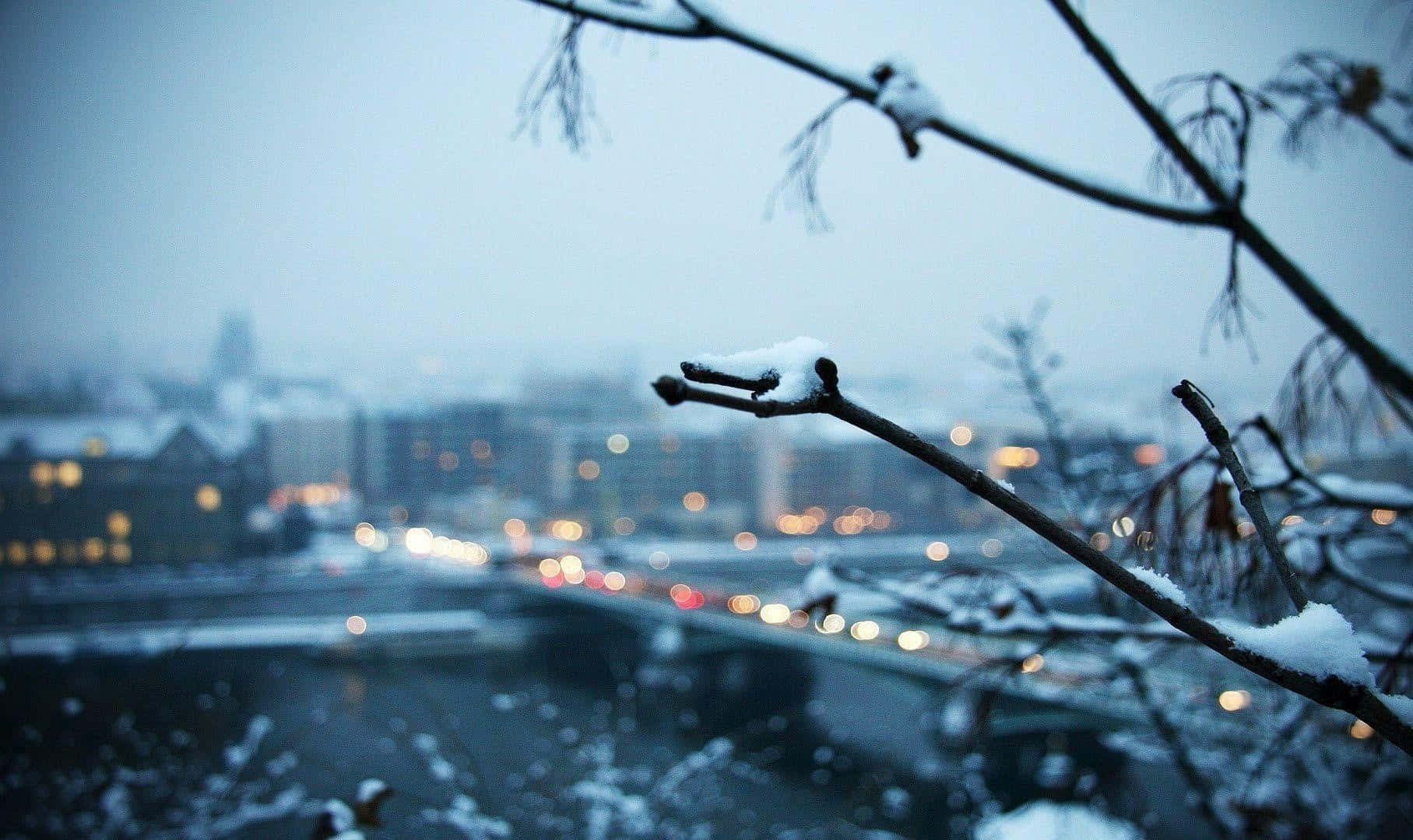 Winter Cityscape 桌布 壁紙 — 雪花點綴的樹枝框住模糊的冬日城市景觀，有發光的街燈和結冰的河流。