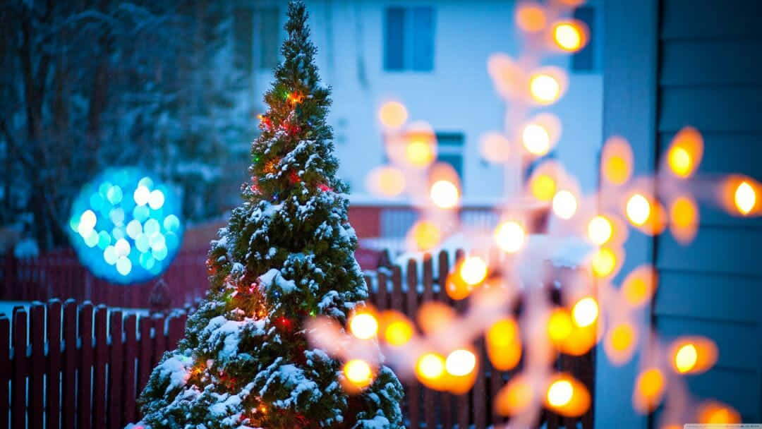 Christmas Lights Aesthetic 桌布 壁紙 — 雪花點綴的聖誕樹在冰藍色暮色背景下閃爍著溫暖的燈光。