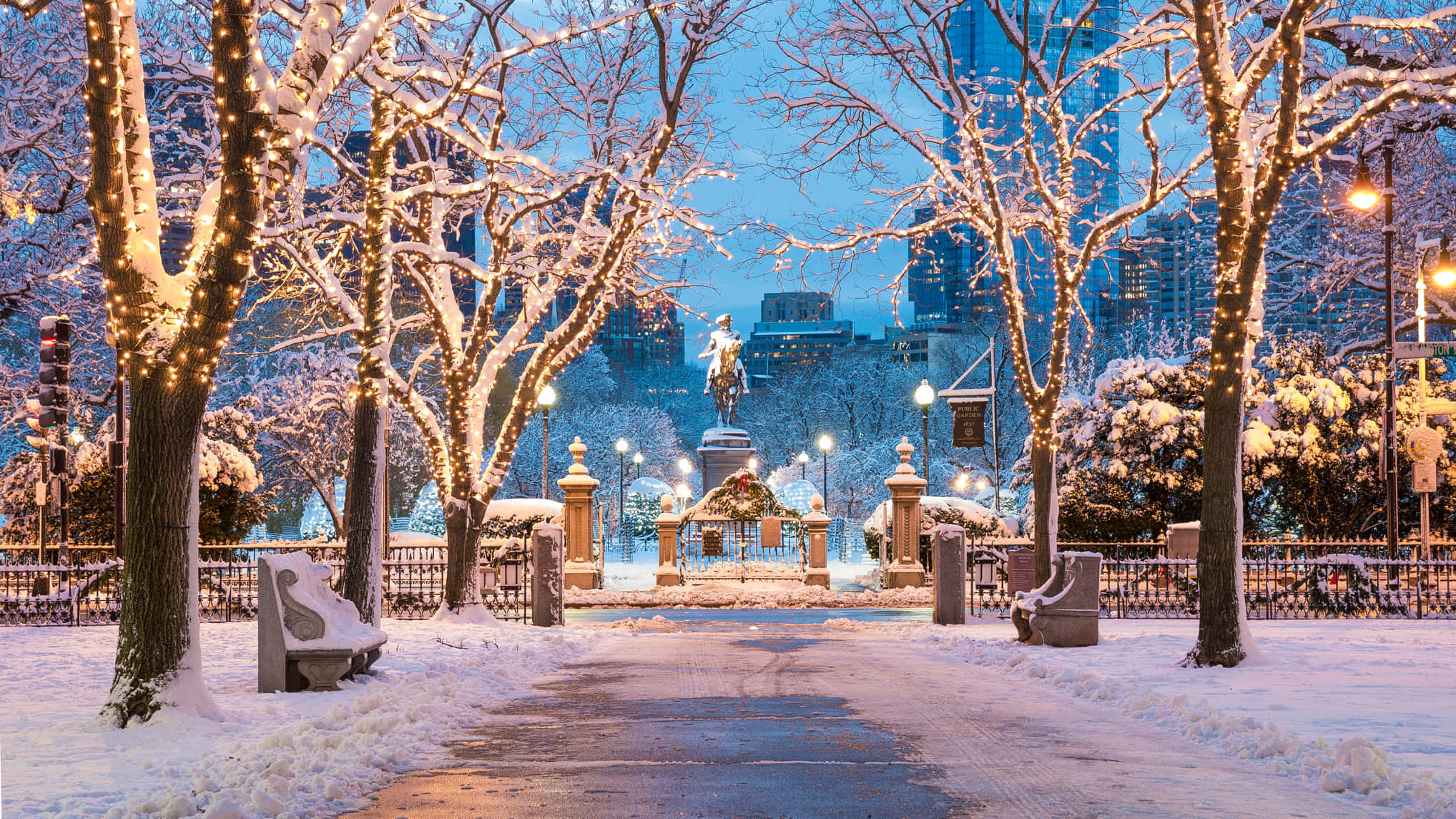 Park Bench 桌布 壁紙 — 雪覆蓋夜晚的城市公園，樹上掛著發光的燈串，遠處有一座雕像。