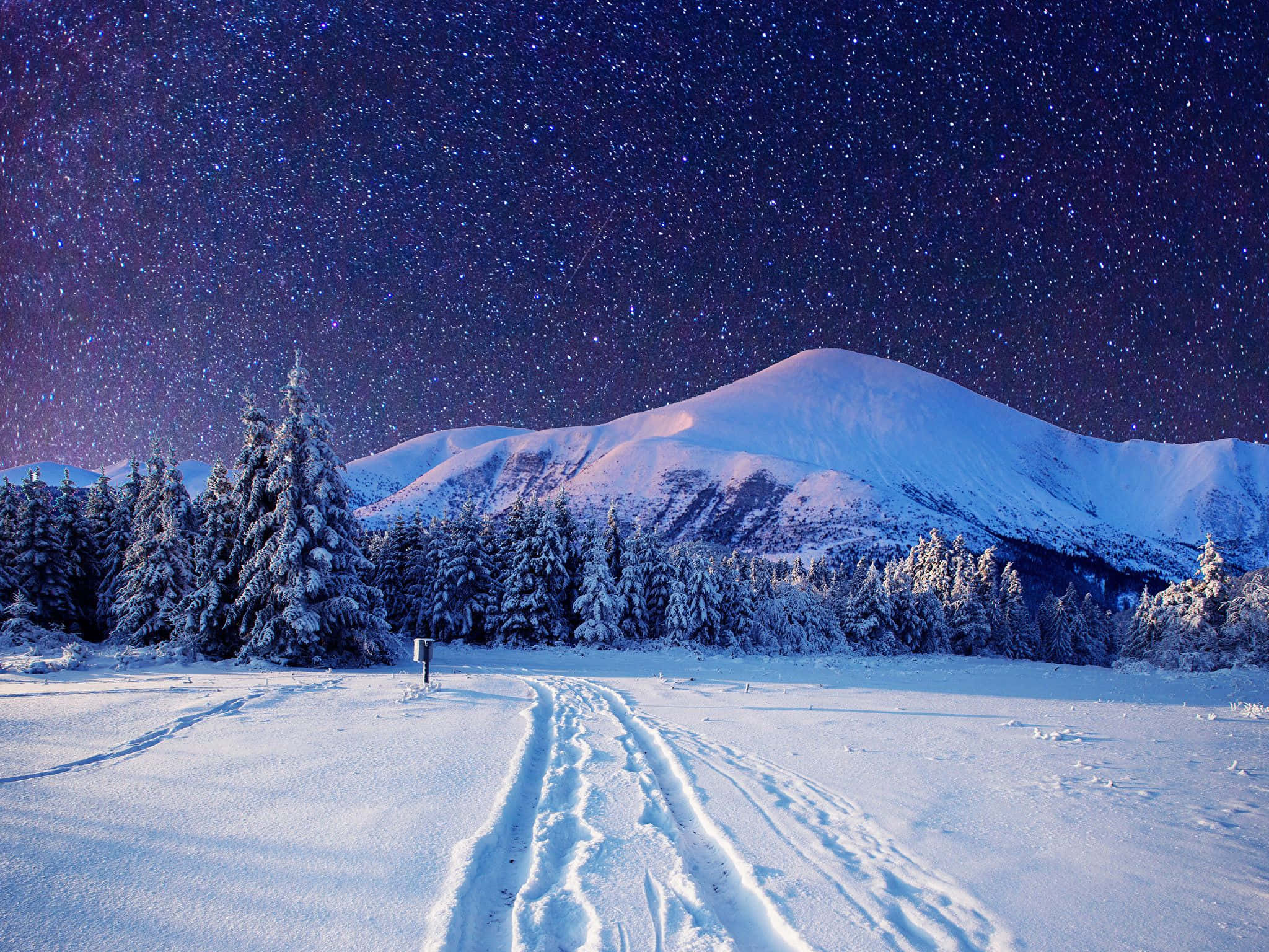 Winter 桌布 壁紙 — 雪覆蓋的山景，星空下，腳印通向被雪覆蓋的松樹。