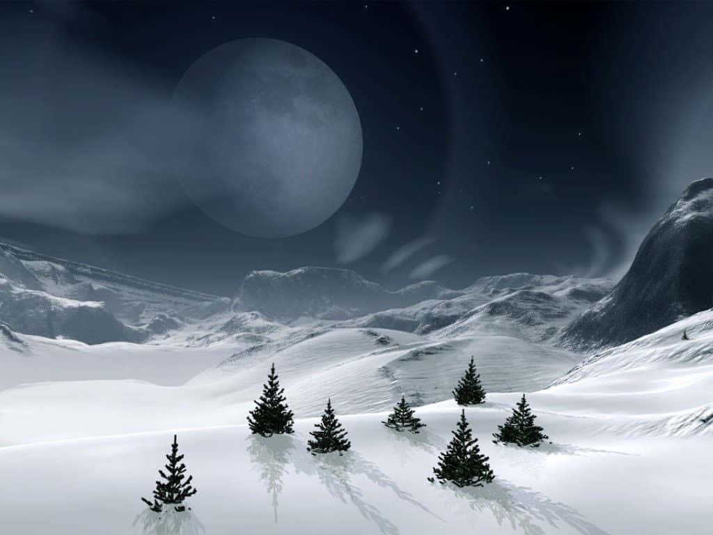 月光 桌布 壁紙 — 雪覆蓋的山谷夜晚，巨大月亮下松樹投下長長的影子。
