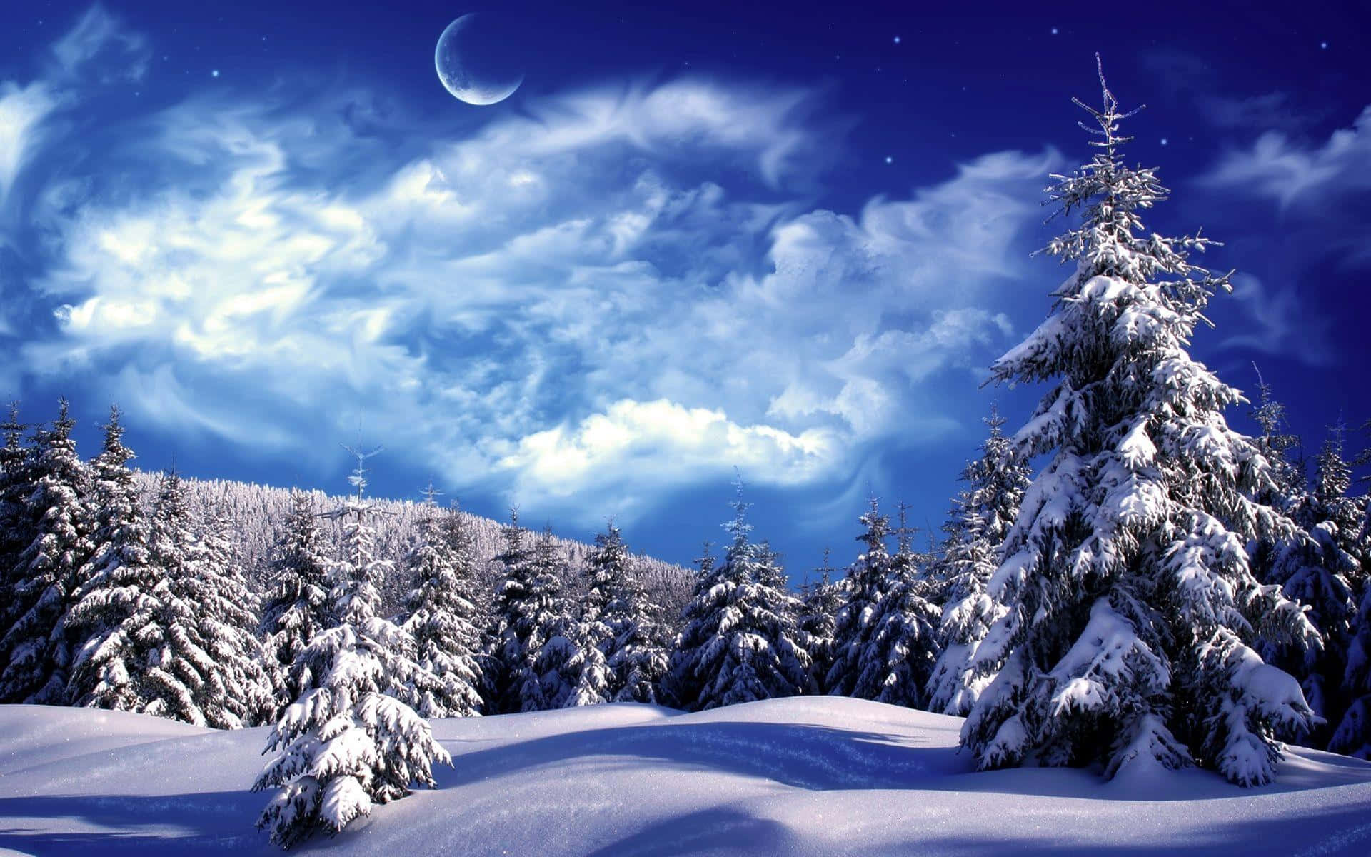 新月和星空下白雪覆蓋的松林。 — 雪 壁紙