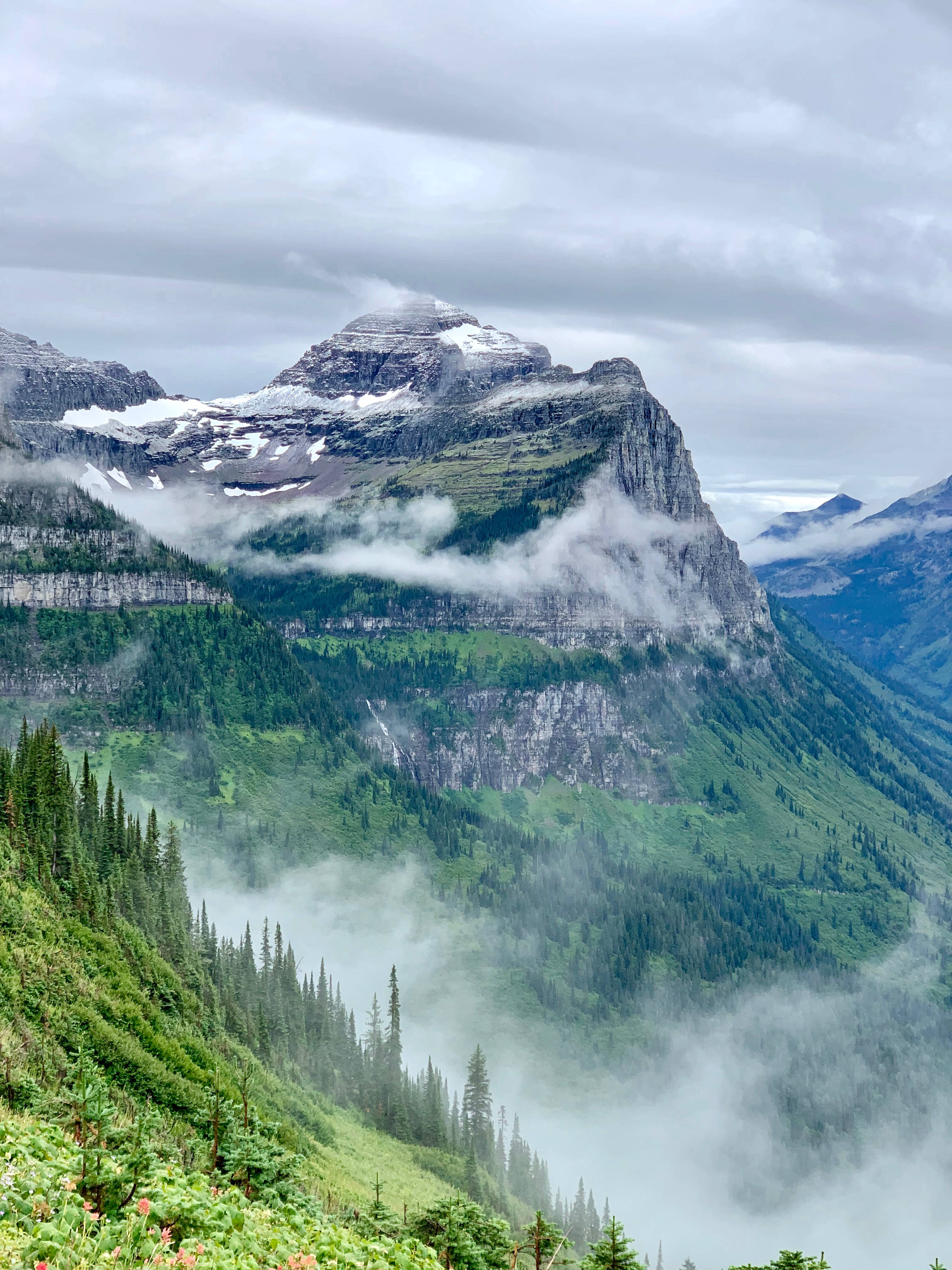 Montana 桌布 壁紙 — 雲霧繚繞的山峰，積雪的山脊，在陰天之下，聳立於鬱鬱蔥蔥的綠色森林之上。