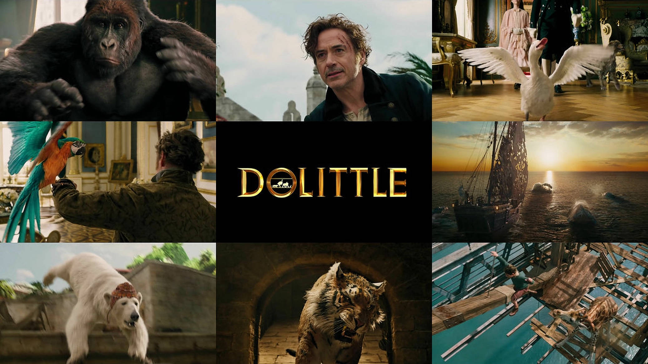 dolittle 桌布 壁紙 — 電影《杜立德》場景的拼貼畫，包括大猩猩、鸚鵡、老虎和天鵝等會說話的動物，置身於奇幻場景中。