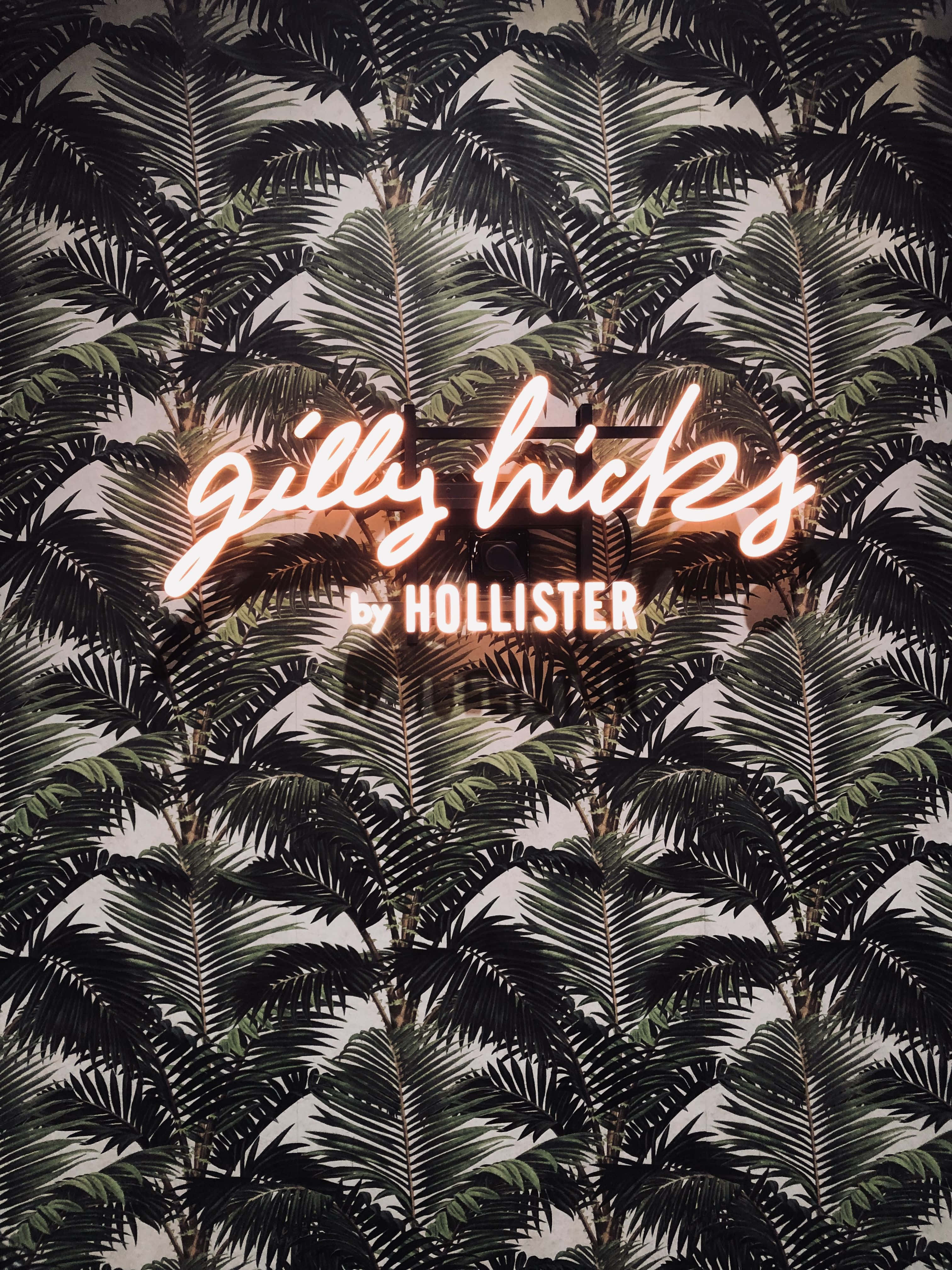 霓虹招牌寫著Hollister 壁紙