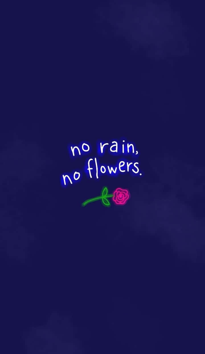 美學手機 桌布 壁紙 — 霓虹藍色文字顯示 no rain no flowers，並在深藍色紋理背景上配有粉紅色玫瑰插圖。