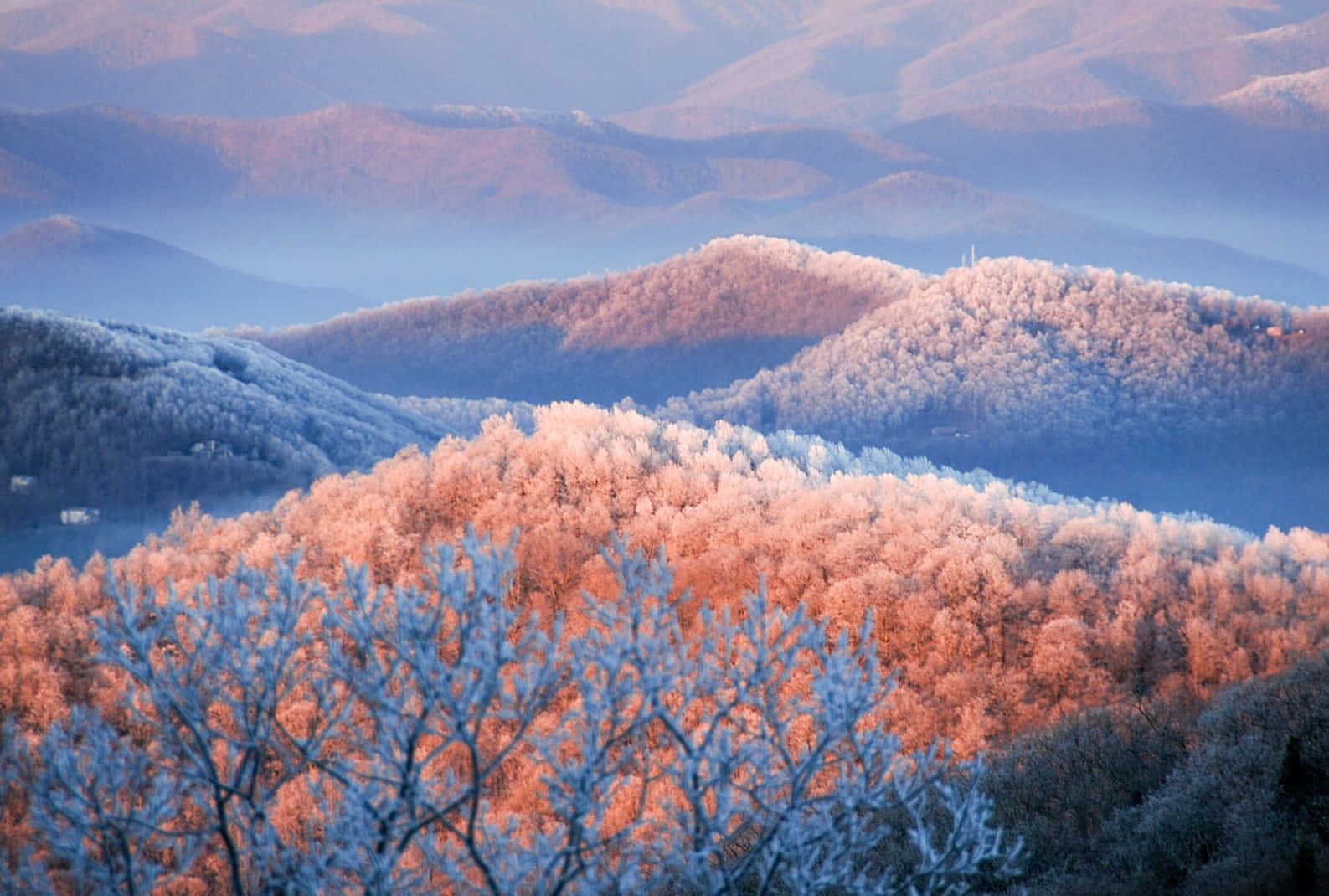 Blue Ridge Mountains 桌布 壁紙 — 霜凍覆蓋著起伏的山脊，呈現日出時柔和的藍色和溫暖的橙色色調。