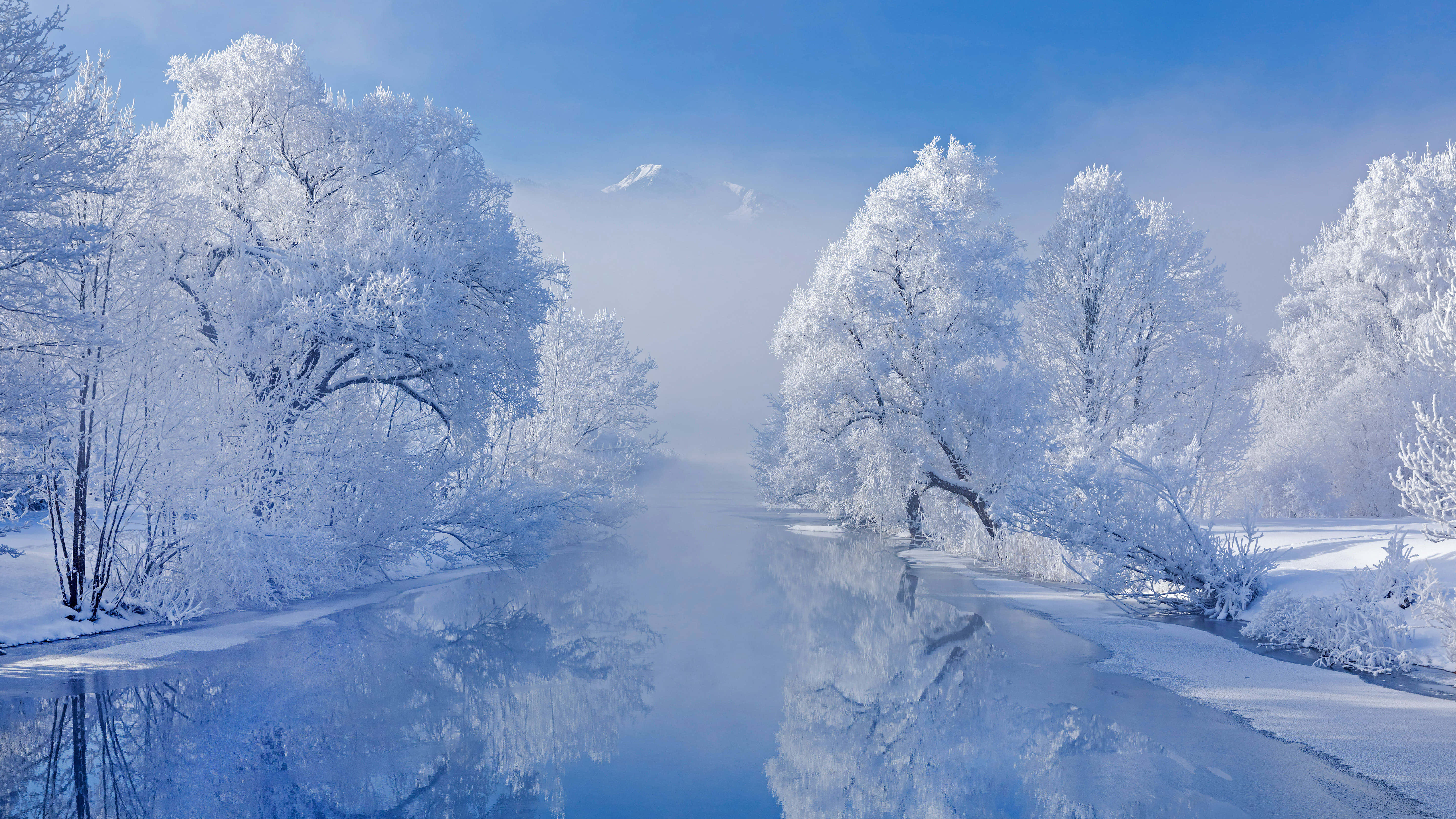 Beautiful Winter 桌布 壁紙 — 霜覆蓋的樹木排列在一條霧氣瀰漫的河邊，河水倒映著清澈的藍天，構成寧靜的冬日景色。