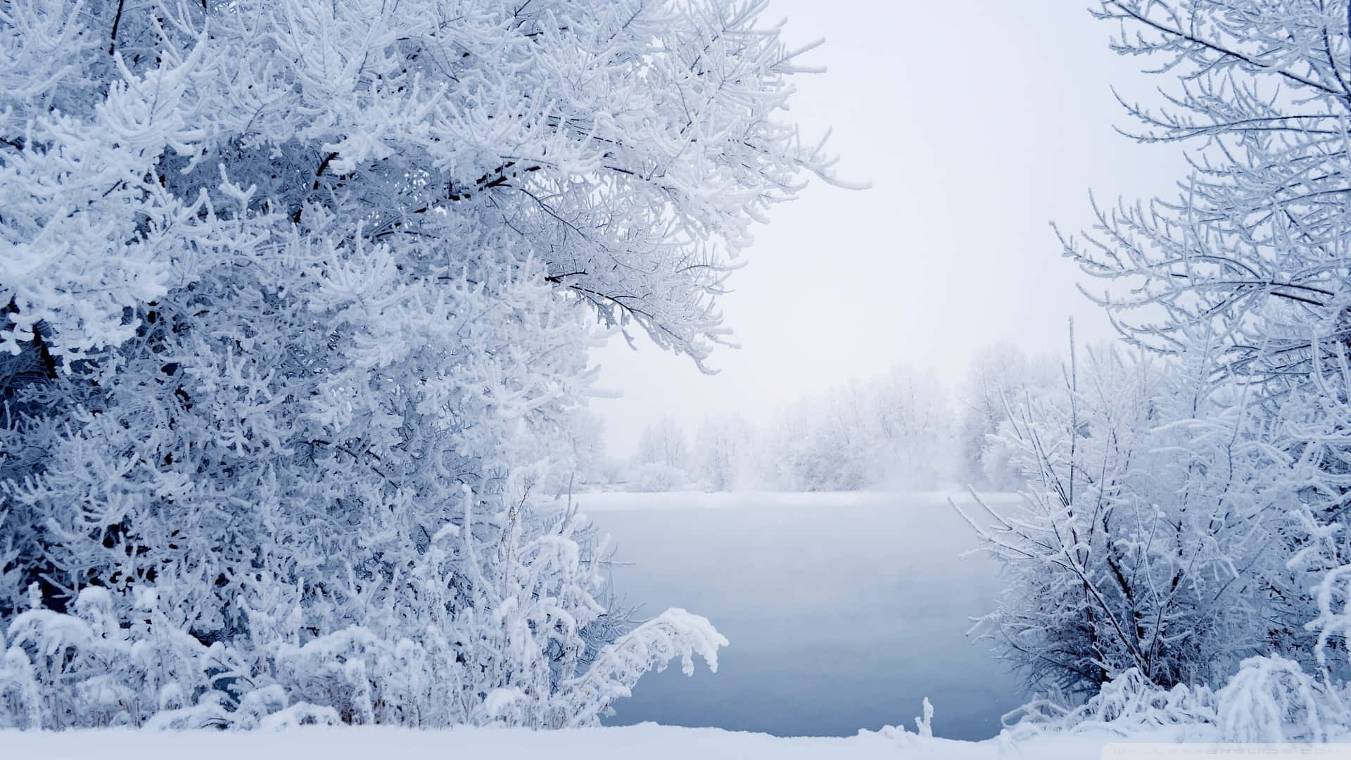 雪 桌布 壁紙 — 霜覆蓋的樹枝框住了一條在蒼白冬日天空下寧靜的冰封河流。