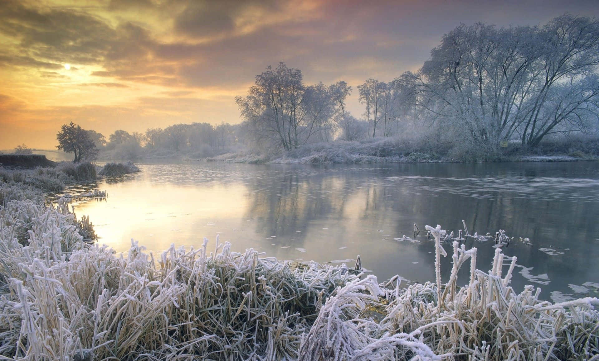 Winter Scenery Desktop 桌布 壁紙 — 霜覆蓋草地和樹木，旁邊是霧氣瀰漫的河流，金色日出將溫暖的光線投射在冰冷的水面上。