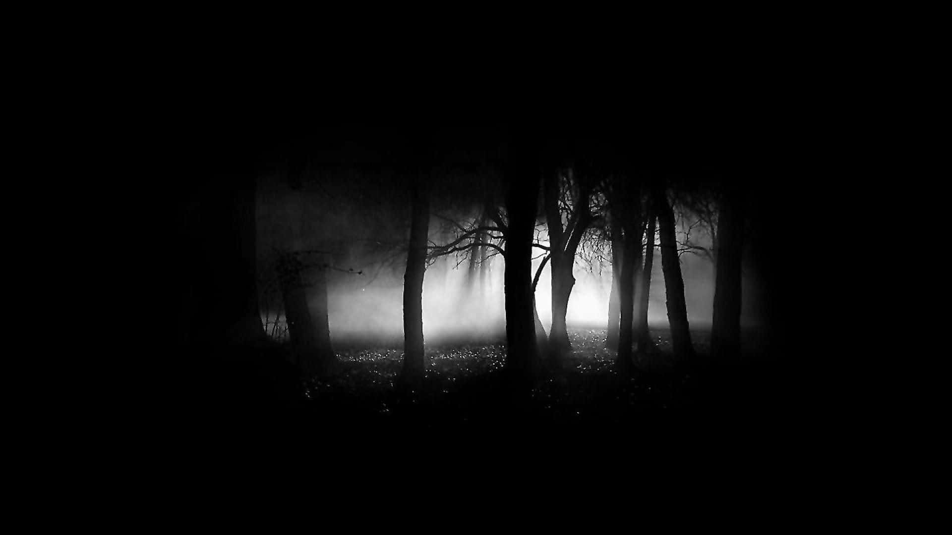 1080p AMOLED 桌布 壁紙 — 霧林中的剪影樹木在漆黑虛空中散發著空靈的背光光芒。