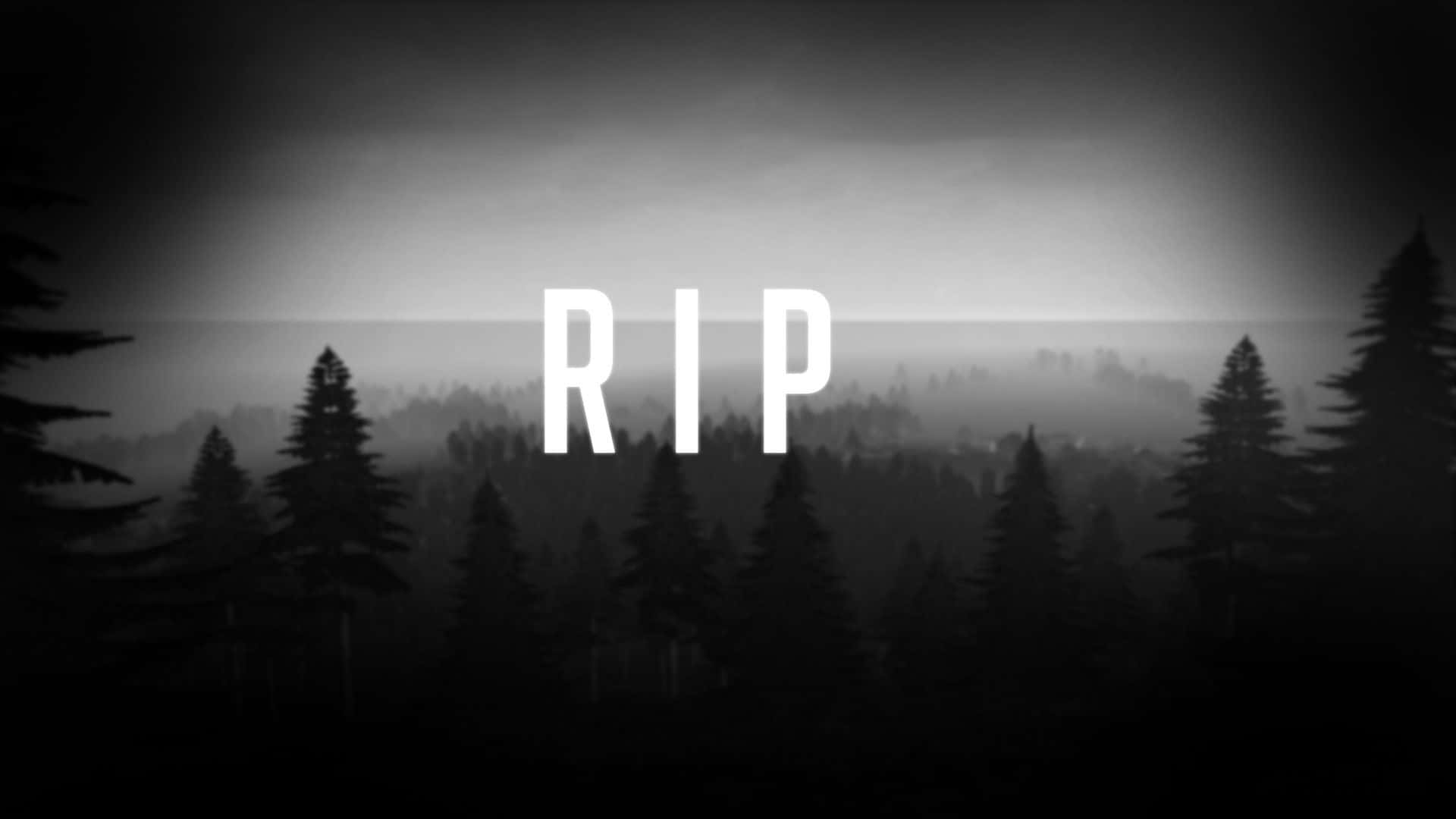 Rip 桌布 壁紙 — 霧氣天空下的單色森林剪影，中央有粗體白色 RIP 文字。