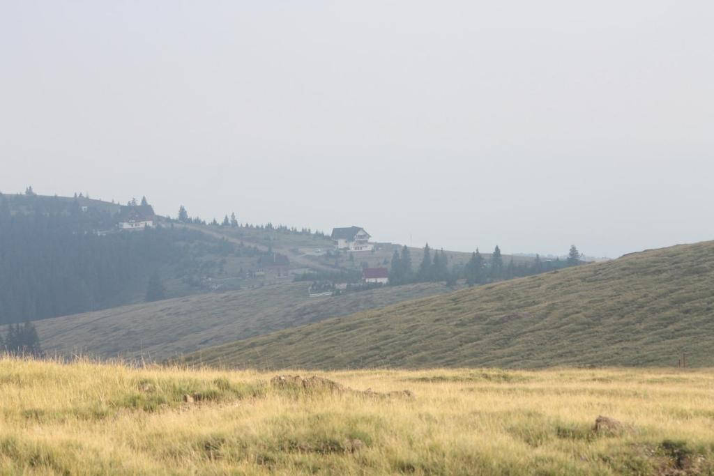 Romania 桌布 壁紙 — 霧氣瀰漫的山景，起伏的草地丘陵上點綴著常綠樹木，遠處散落著幾間房屋。