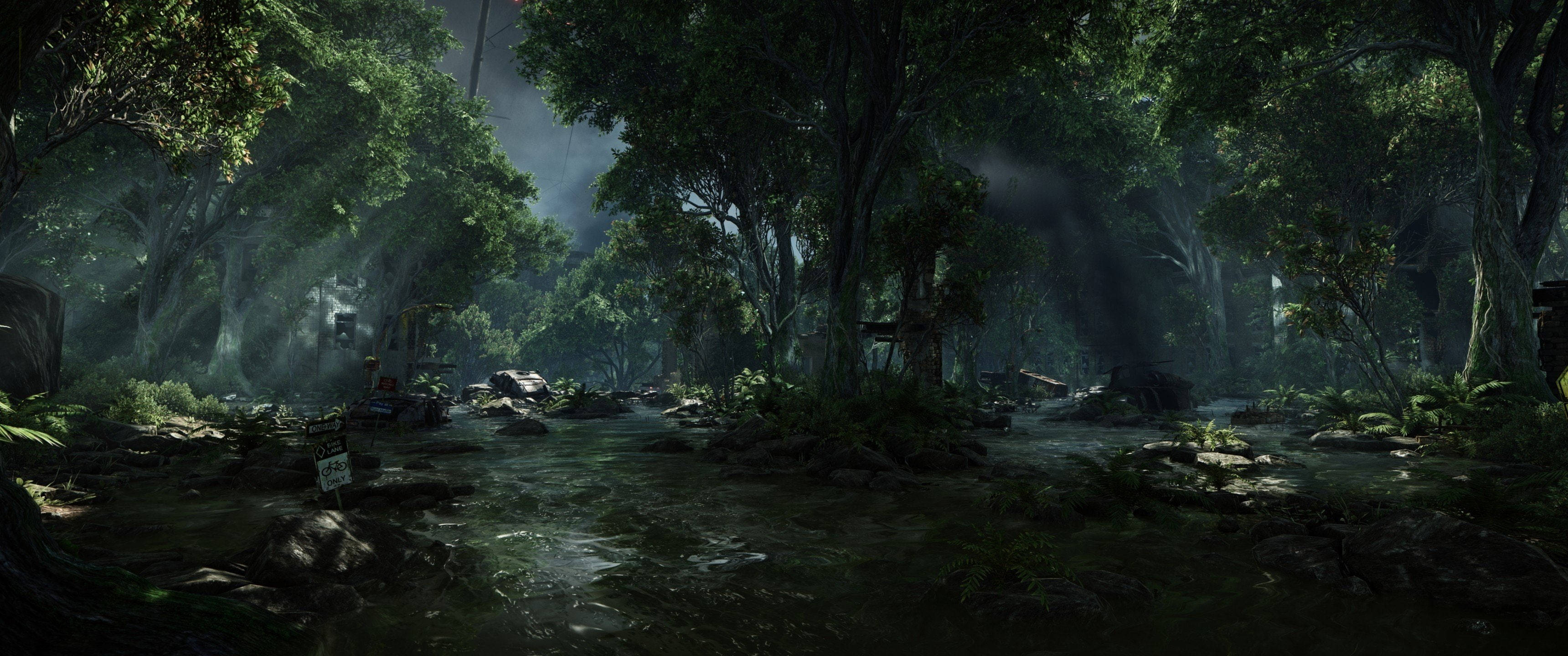 crysis 3 4K 桌布 壁紙 — 霧氣瀰漫的森林，高聳的樹木，斑駁的陽光穿過茂密的樹冠，灑在岩石溪流上。