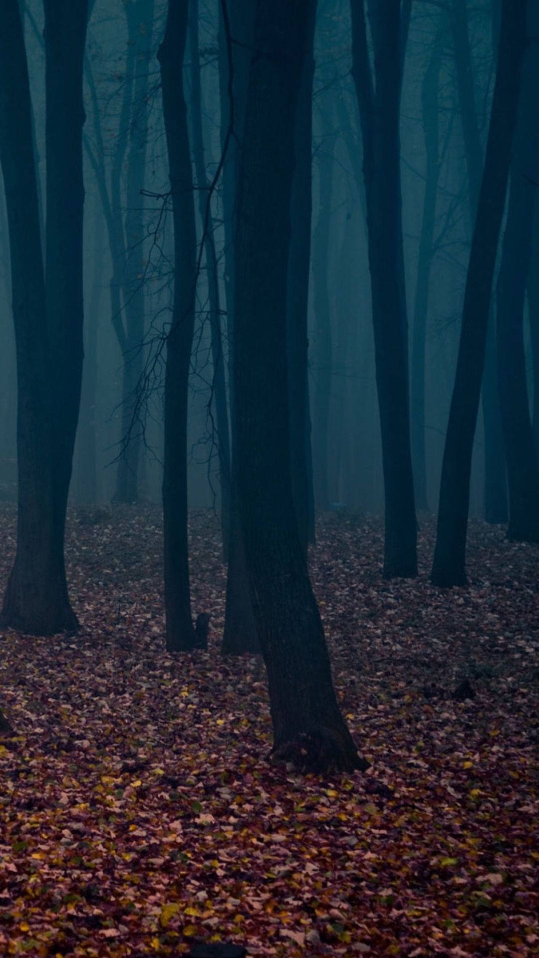 Spooky Aesthetic 桌布 壁紙 — 霧氣瀰漫的森林，高聳的深色樹木，地上鋪滿深藍色和鐵鏽紅色的落葉。