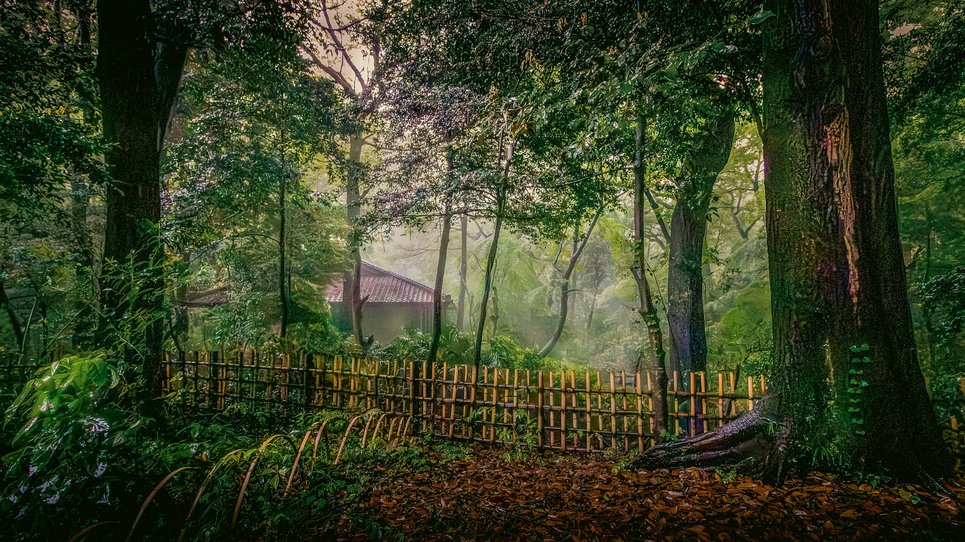 Japanese grotto with a hut. 壁紙 — 霧氣瀰漫的森林中，斑駁的陽光穿過茂密的綠色樹冠，顯露出質樸的竹籬笆和遠處的木屋。