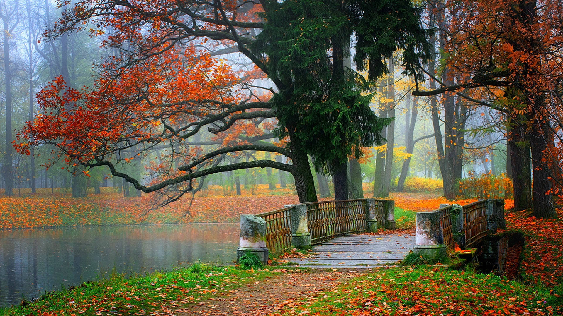 Autumn Season 桌布 壁紙 — 霧氣瀰漫的秋日森林，一座木橋橫跨平靜的池塘，四周環繞著鮮豔的橙色和綠色樹木。