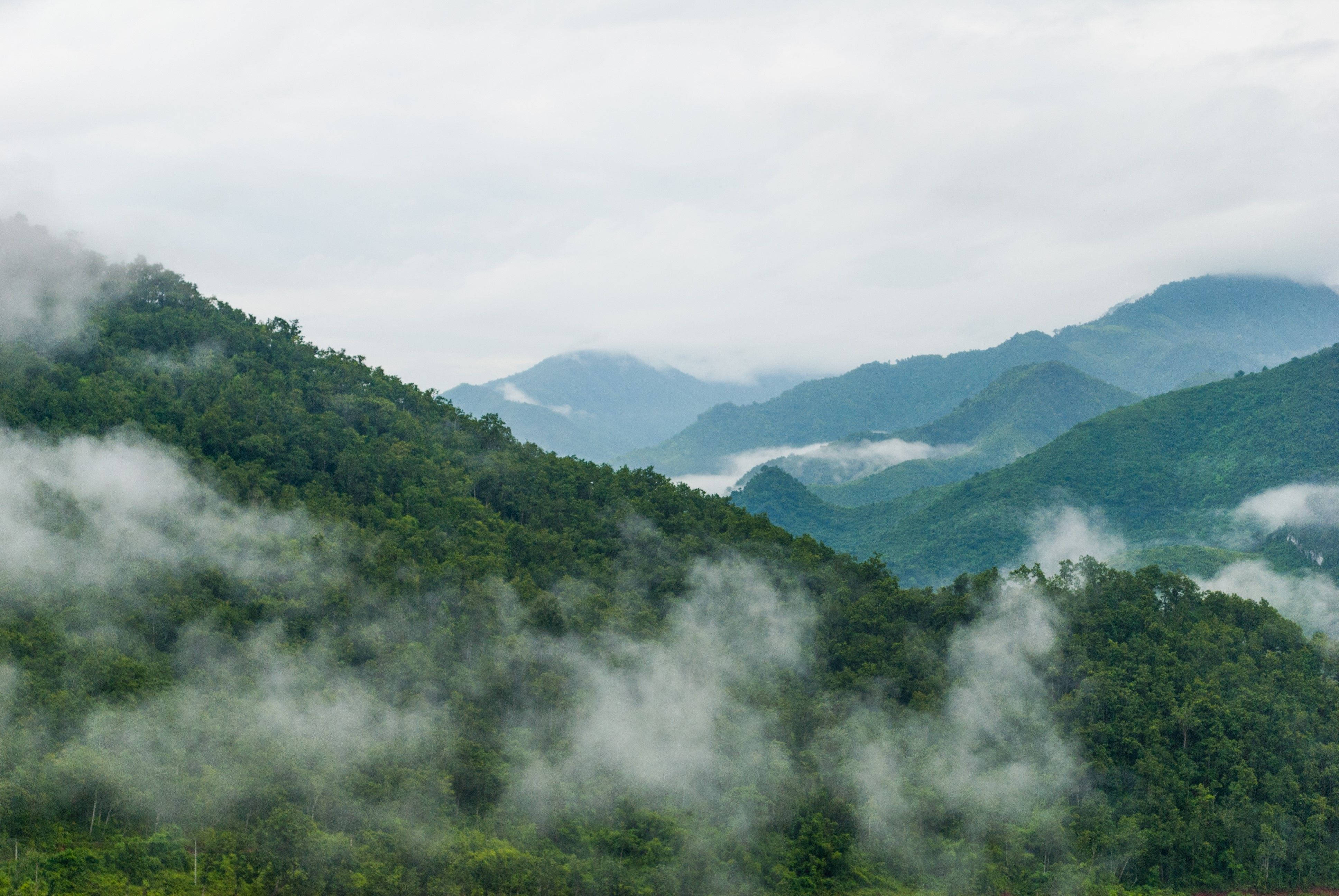 Smoky Mountains 桌布 壁紙 — 霧氣瀰漫的綠色山脈在厚霧中升起，陰天之下營造出寧靜而神秘的自然景象。