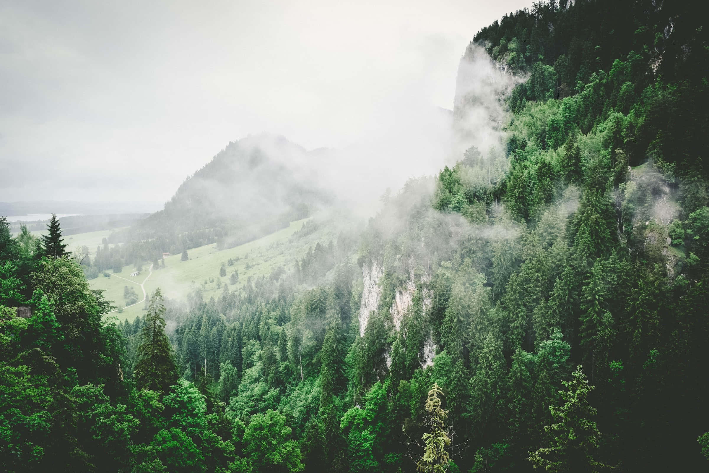 Beautiful Nature 桌布 壁紙 — 霧氣瀰漫的綠色森林覆蓋著陡峭的山坡，天空多雲，霧氣在樹木間飄蕩。