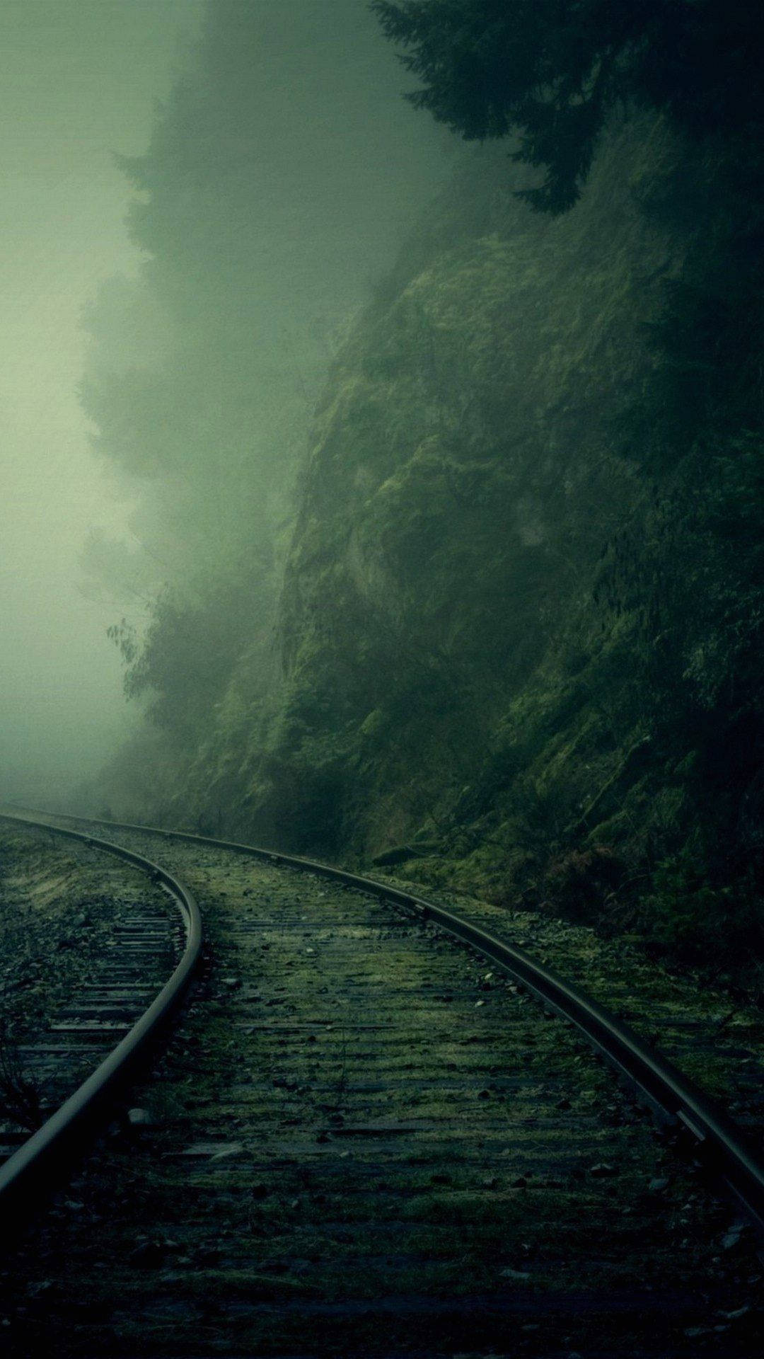 彎曲的鐵路軌道消失在長滿苔蘚的山坡上的霧氣森林中。