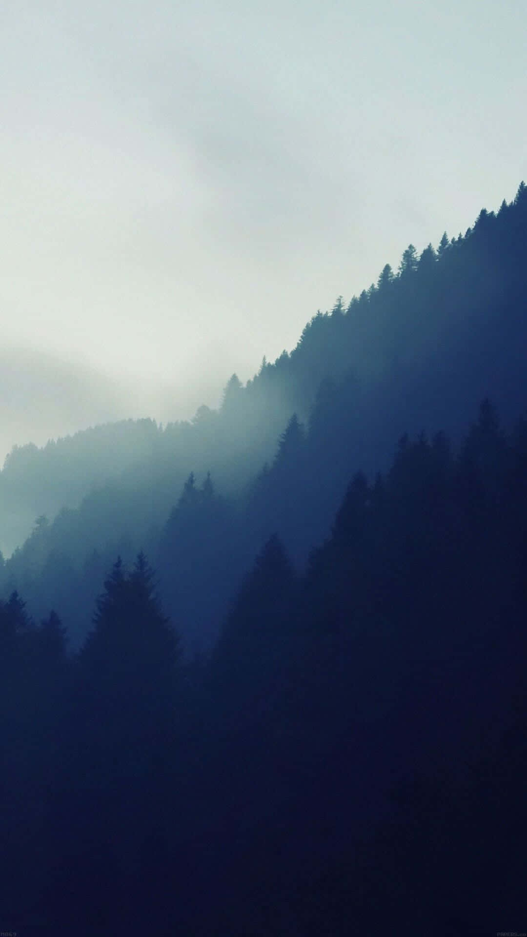 山景 桌布 壁紙 — 霧氣籠罩的山坡，披上深藍色陰影，常綠樹在迷霧中逐漸消失。