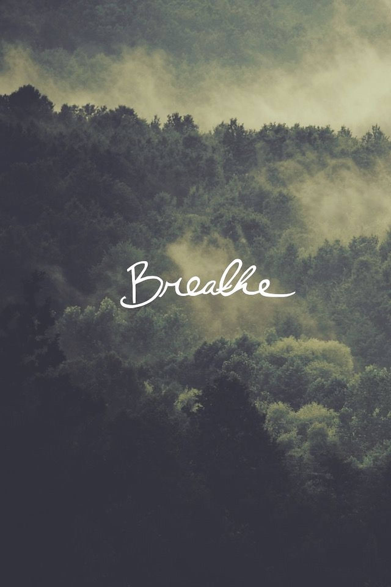 Breathing 桌布 壁紙 — 霧氣籠罩的森林山丘，披上柔和綠色和灰色色調，配上優雅白色字體的「Breathe」字樣。