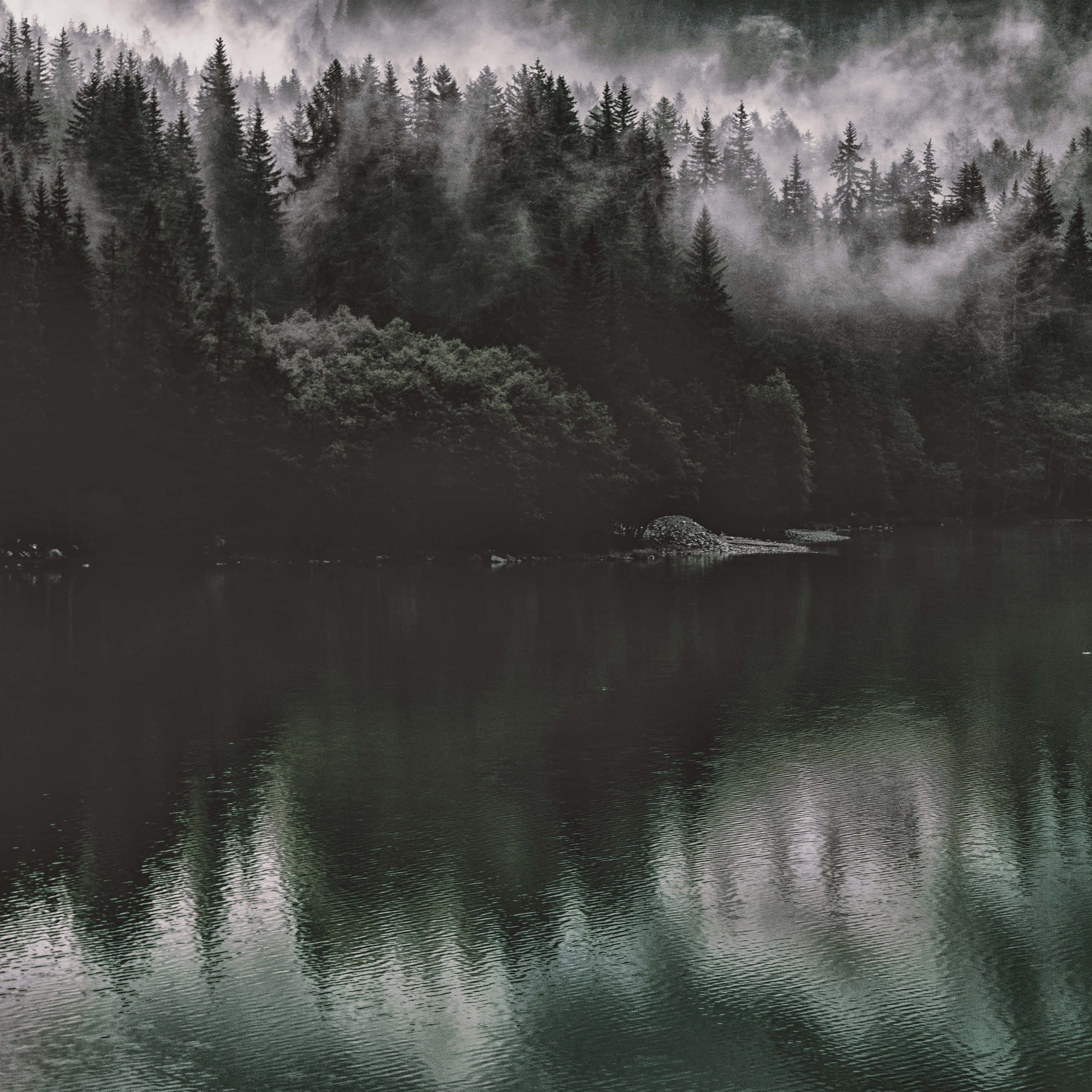 Dark Nature 桌布 壁紙 — 霧氣籠罩的森林山坡在柔和灰光下倒映在平靜的水面上。