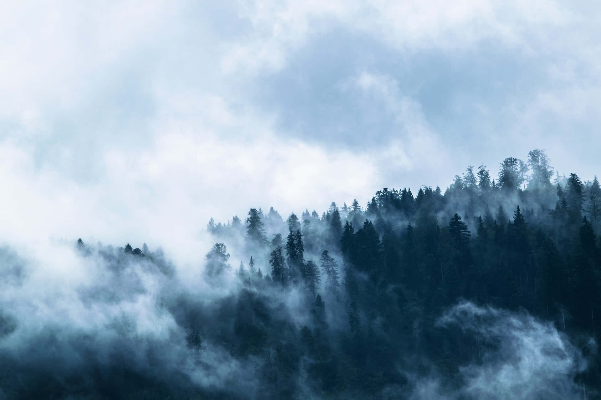 Beautiful Forest 桌布 壁紙 — 霧氣籠罩的森林山脈在淡藍色天空下穿過旋轉的雲層升起。