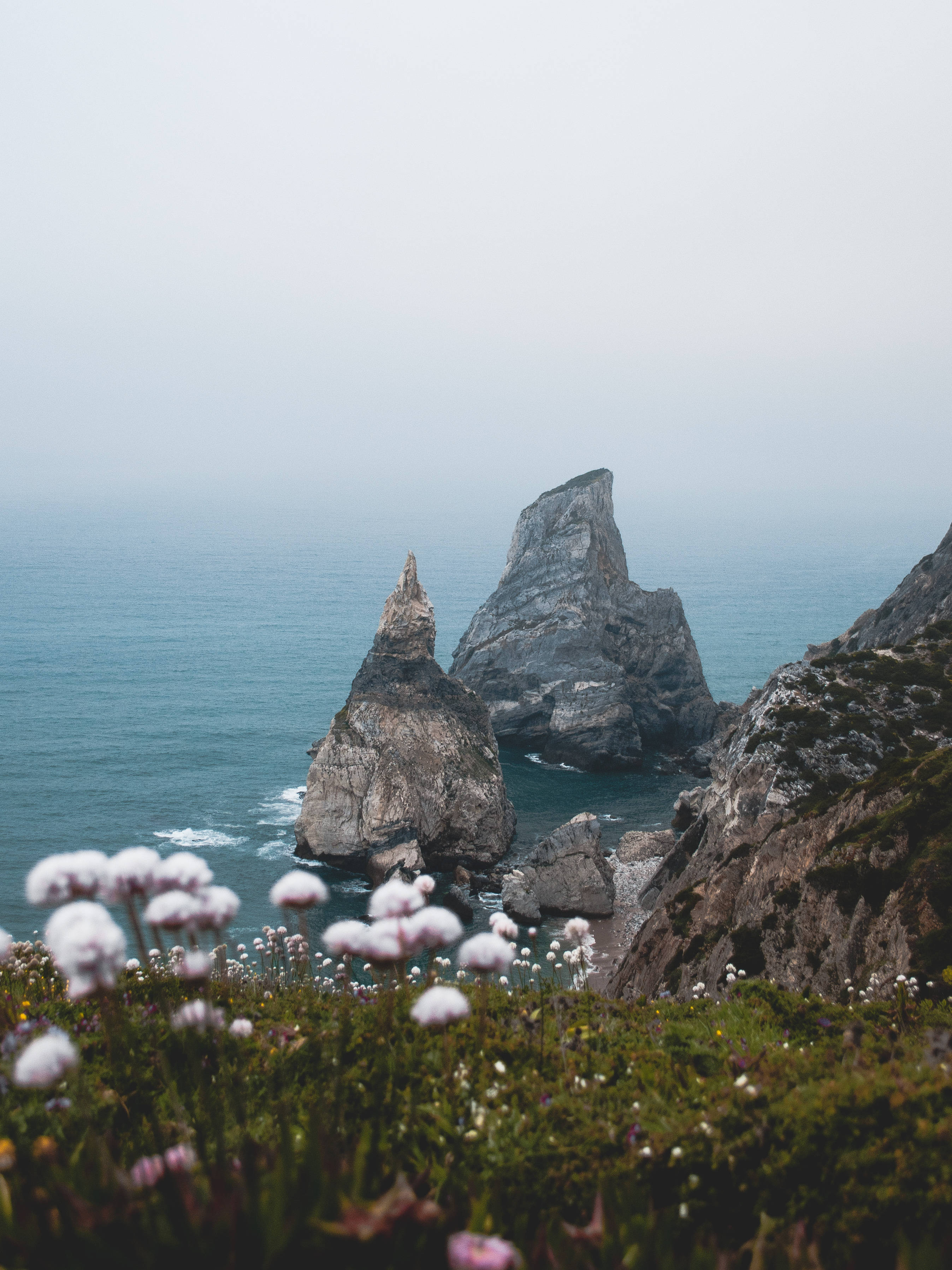 Portugal 桌布 壁紙 — 霧氣籠罩的海岸懸崖，參差不齊的岩石形態從碧綠的海水中升起，前景的野花環繞其間。