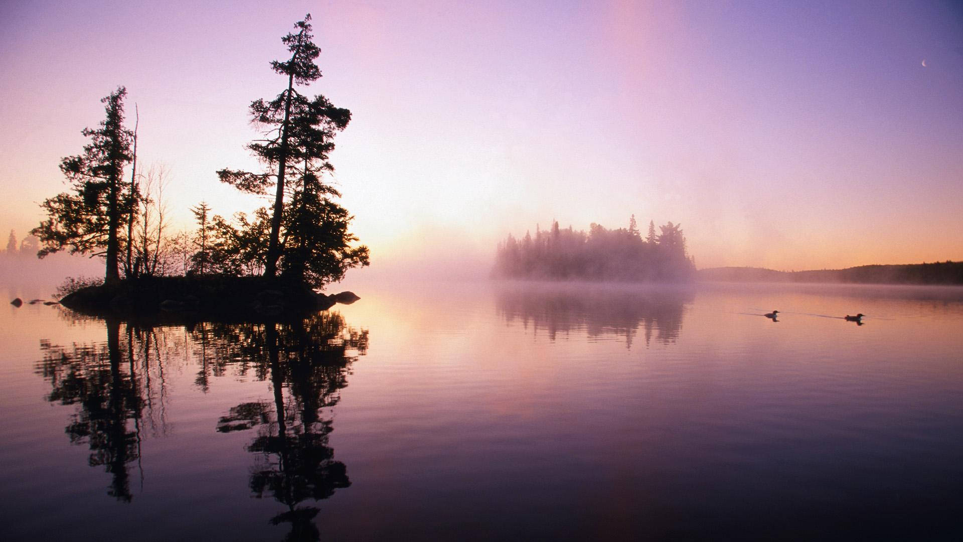 Minnesota 桌布 壁紙 — 霧氣籠罩的湖中島嶼上，樹木的剪影倒映在平靜的水面上，柔和的日出色彩塗滿天空。