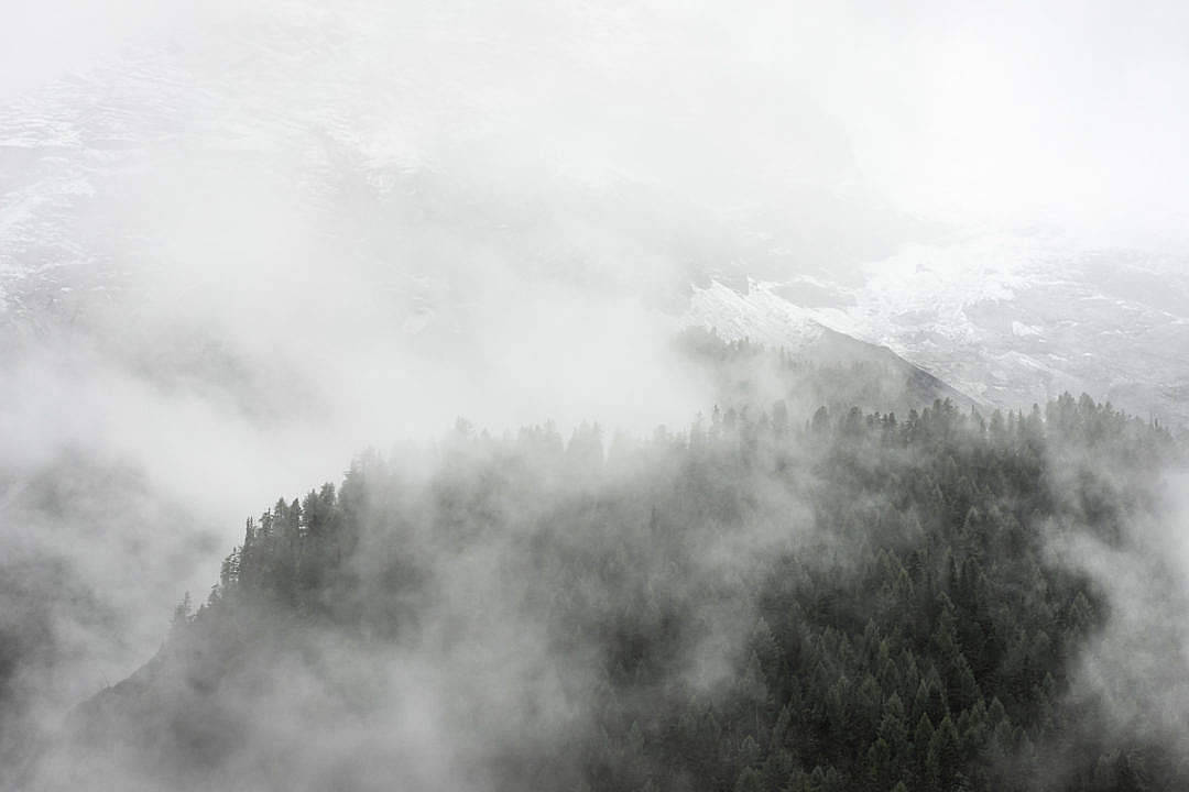 黑白 桌布 壁紙 — 霧氣籠罩的雲朵飄過被白雪覆蓋、長滿茂密常綠森林的山脊。