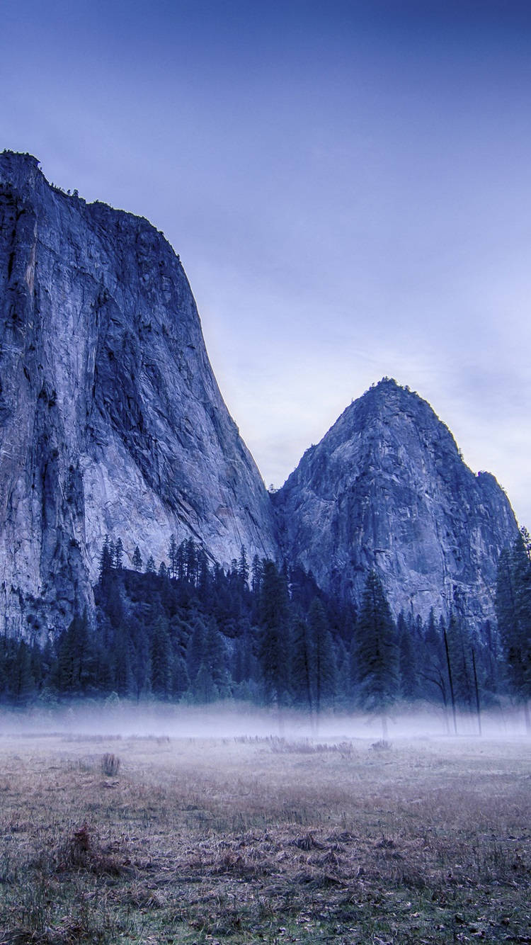 Yosemite iPhone 桌布 壁紙 — 霧氣籠罩的黎明，環繞著高聳的花崗岩懸崖和松樹林，在寧靜的山谷中。